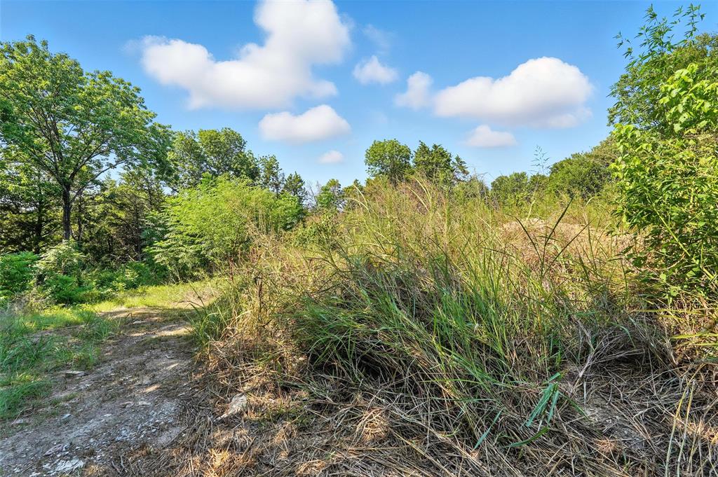 3001 Simpson Stuart Road Dallas, TX 75241 - Photo 20 of 23 a view of a bunch of trees and bushes