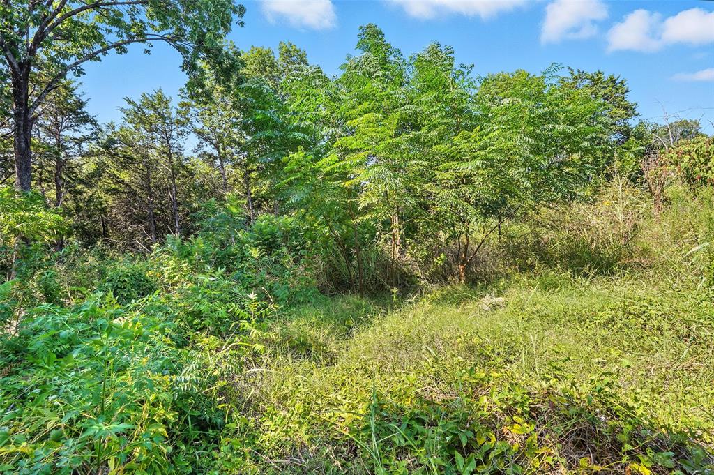 3001 Simpson Stuart Road Dallas, TX 75241 - Photo 22 of 23 a view of a lush green space