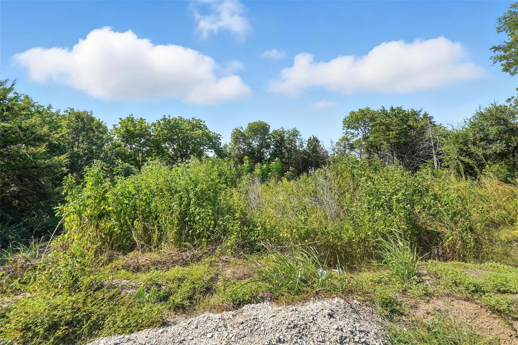 3001 Simpson Stuart Road Dallas, TX 75241 - Photo 23 of 23 a view of a bunch of trees