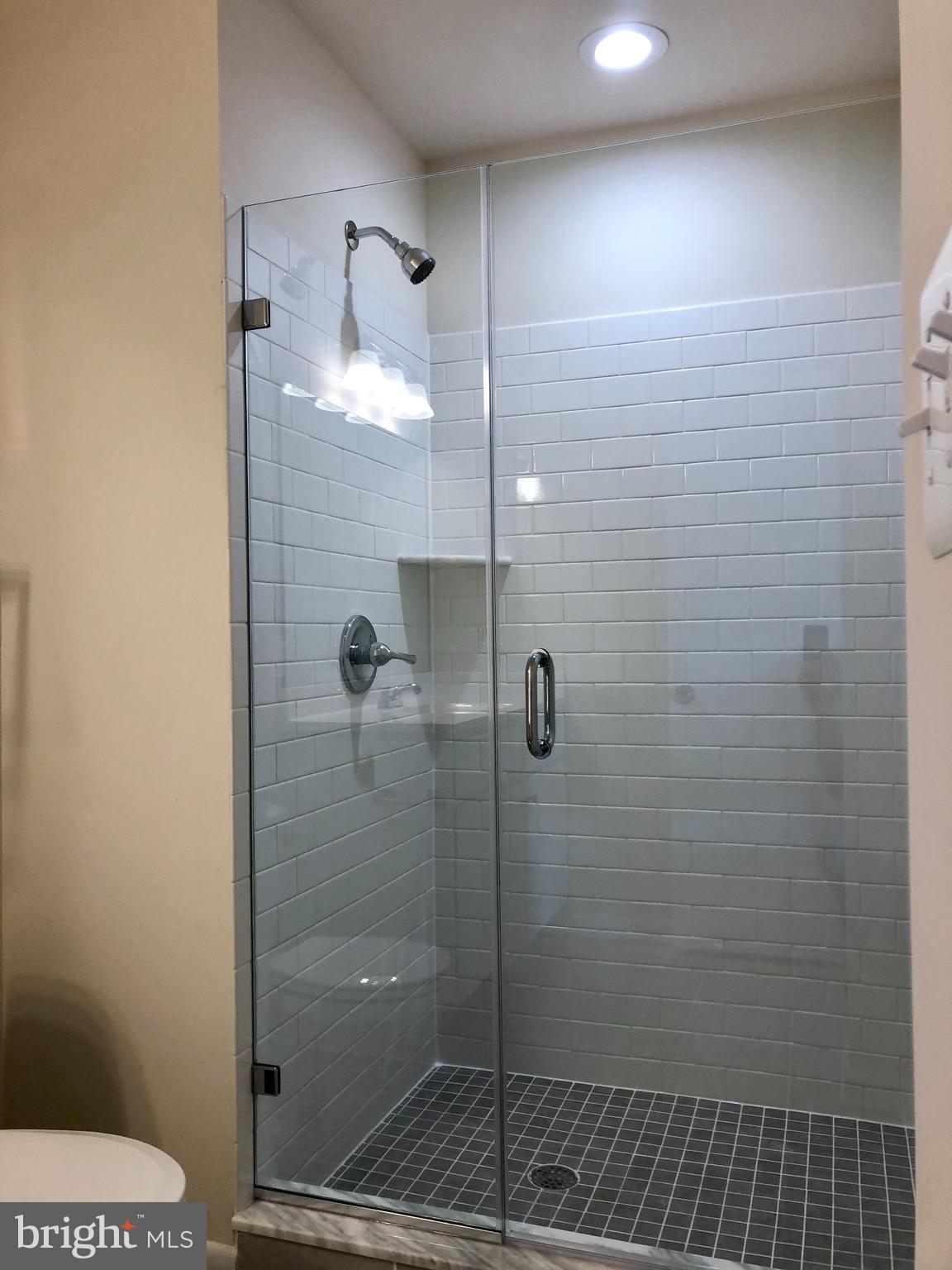 4509 Baker Valley Road Frederick, MD 21704 - Photo 10 of 17 UPGRADE CERAMICS AND CUSTOM SHOWER DOOR