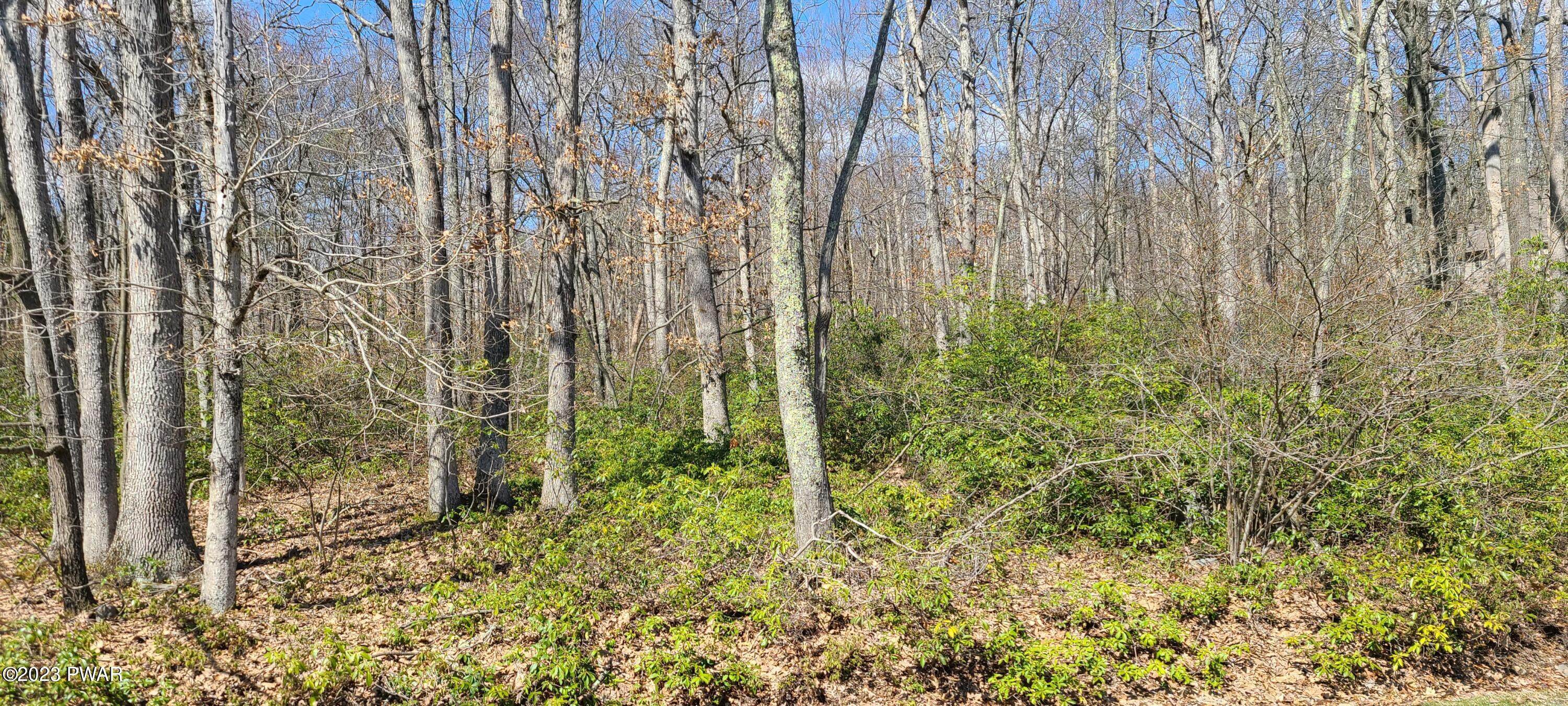 1207 Hay Road Dingmans Ferry, PA 18328 - Photo 8 of 11