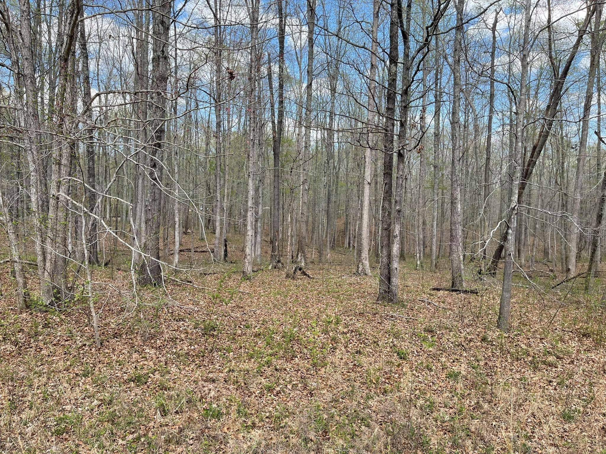 0 Pinewood Road Lyles, TN 37098 - Photo 14 of 14