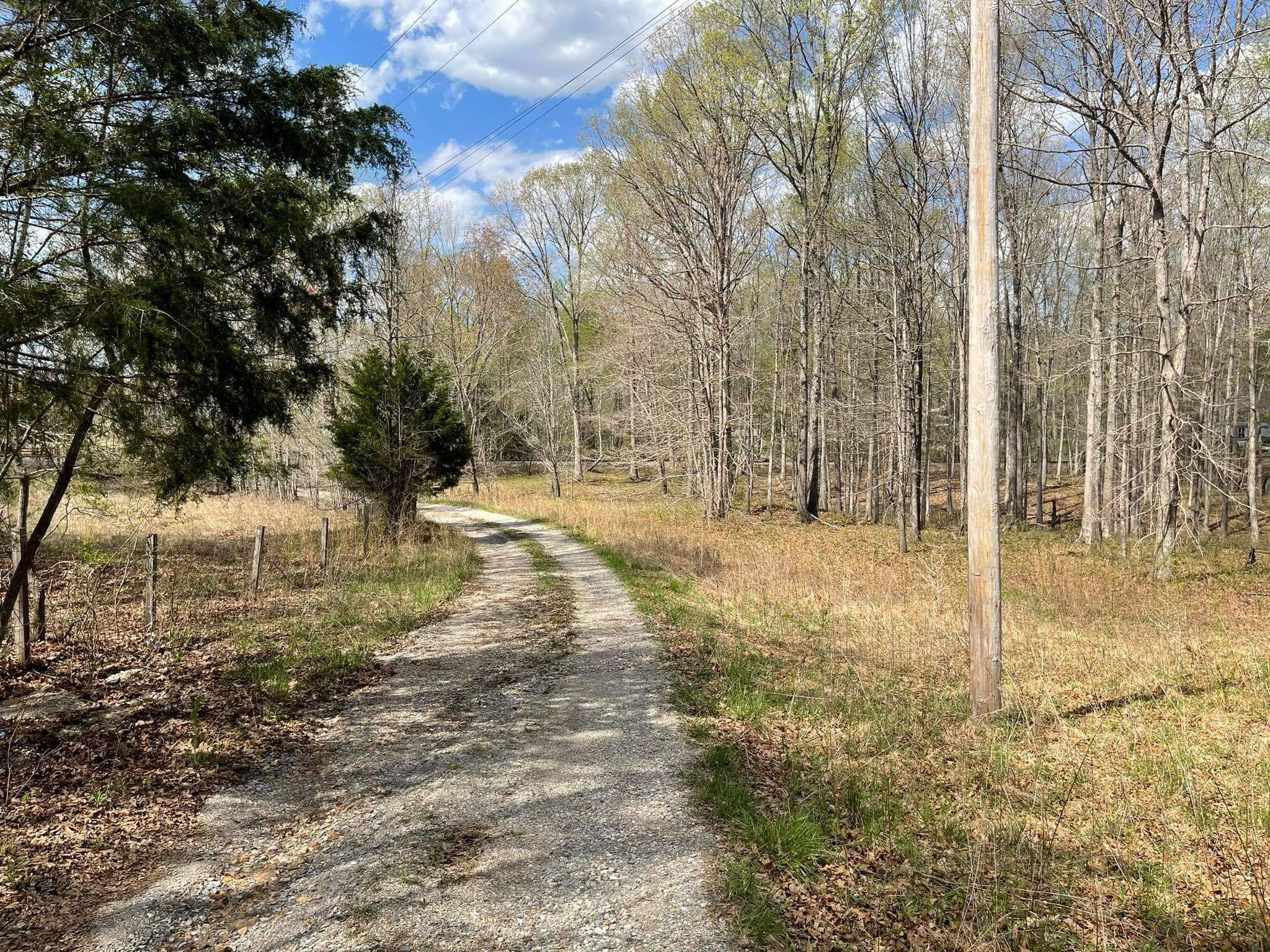 0 Pinewood Road Lyles, TN 37098 - Photo 3 of 14 a view of open space with trees