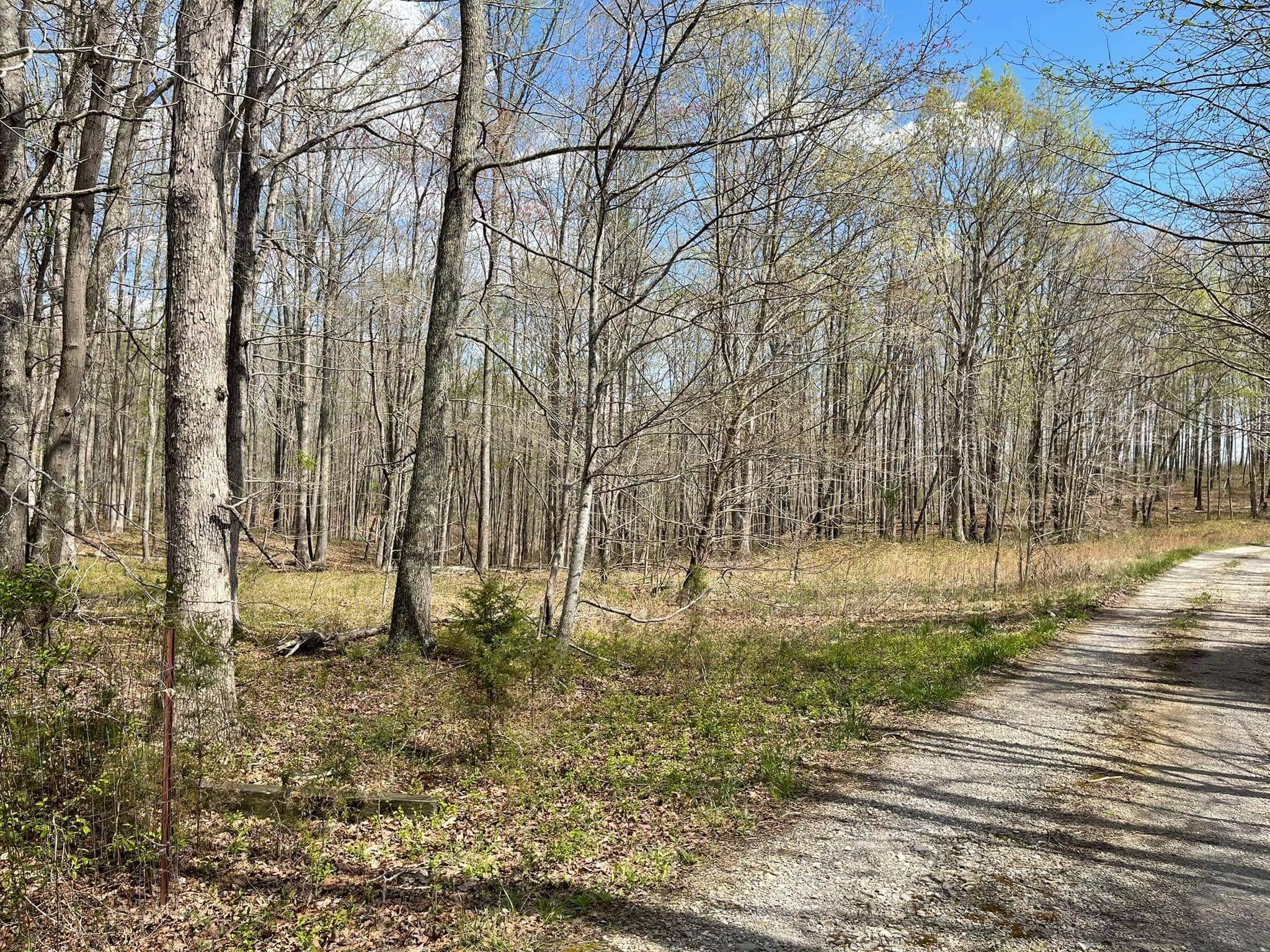 0 Pinewood Road Lyles, TN 37098 - Photo 5 of 14 a view of back yard