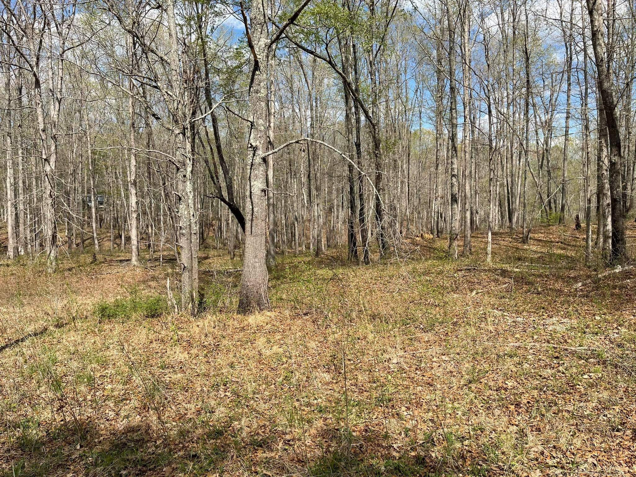 0 Pinewood Road Lyles, TN 37098 - Photo 7 of 14 a view of backyard with wooden fence