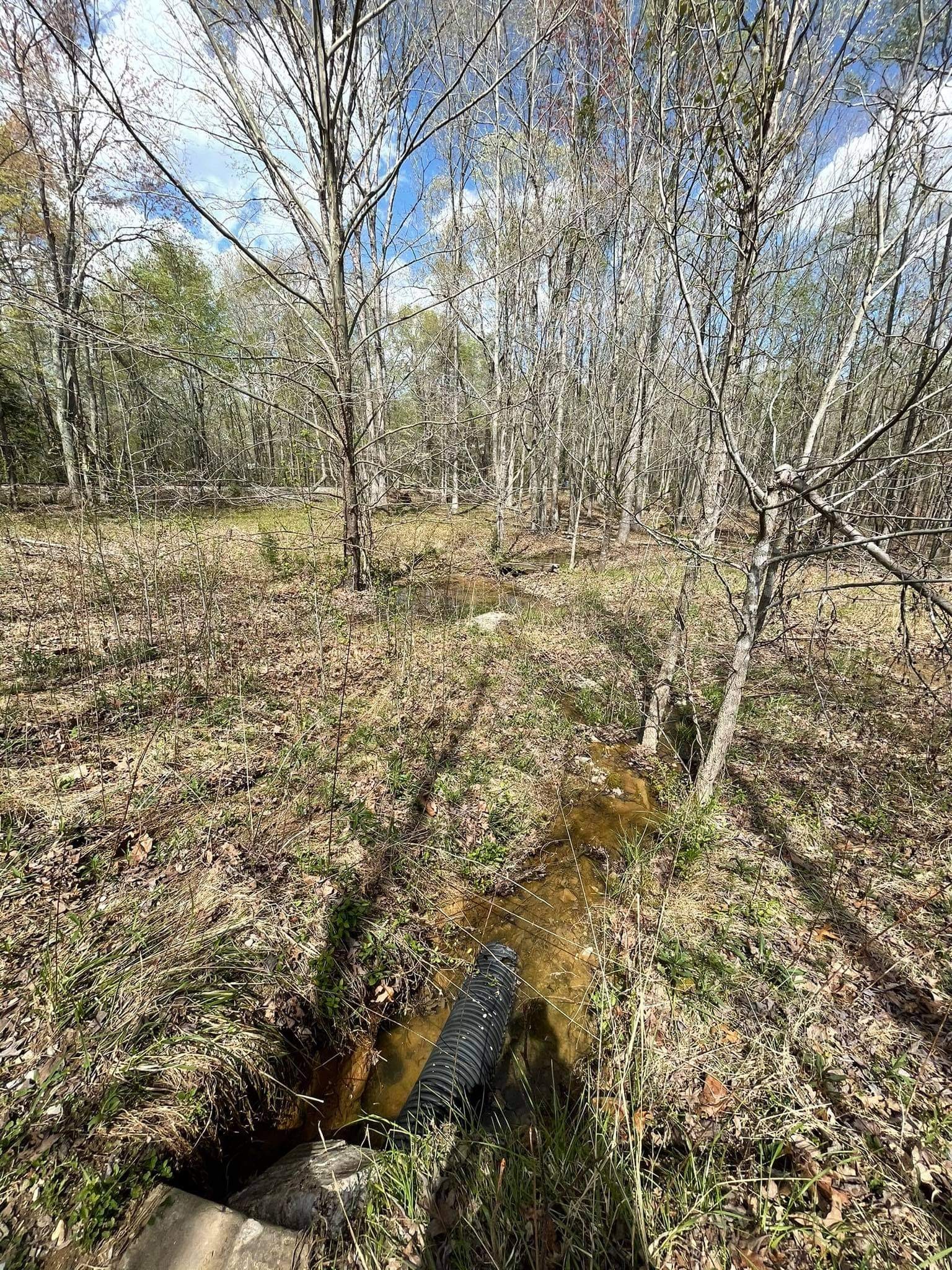 0 Pinewood Road Lyles, TN 37098 - Photo 10 of 14 a view of yard with trees
