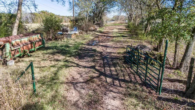 a view of yard with trees