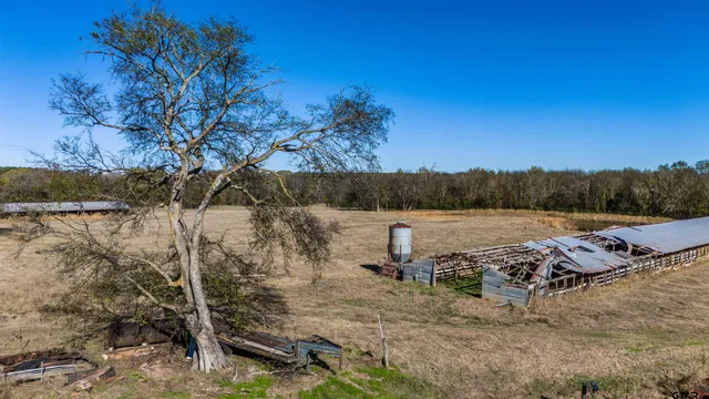a view of a backyard of the house