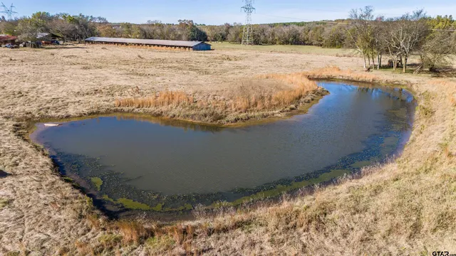 a view of a lake from a yard