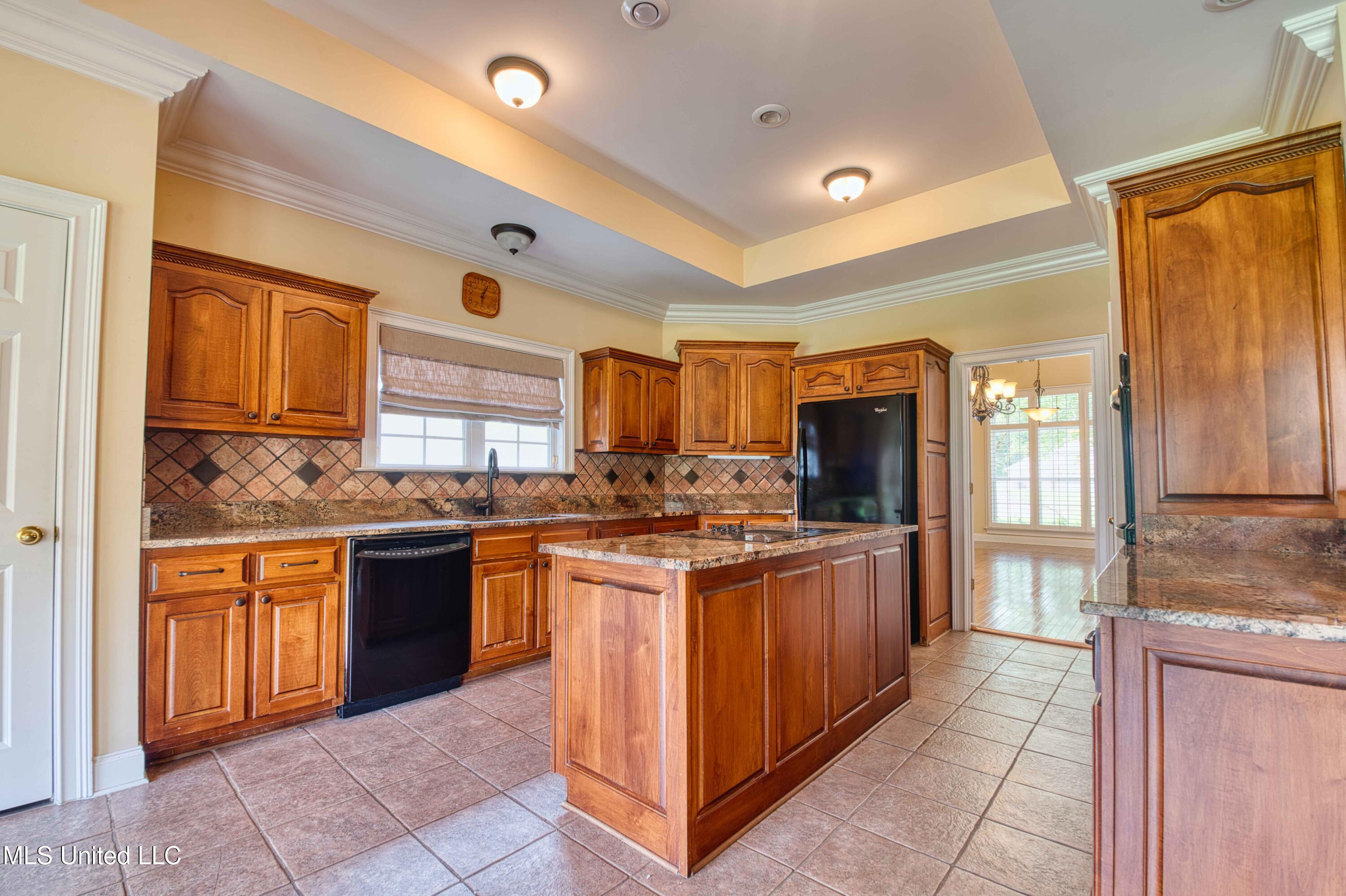 860 Cedar Grove Parkway Hernando, MS 38632 - Photo 11 of 62 Kitchen