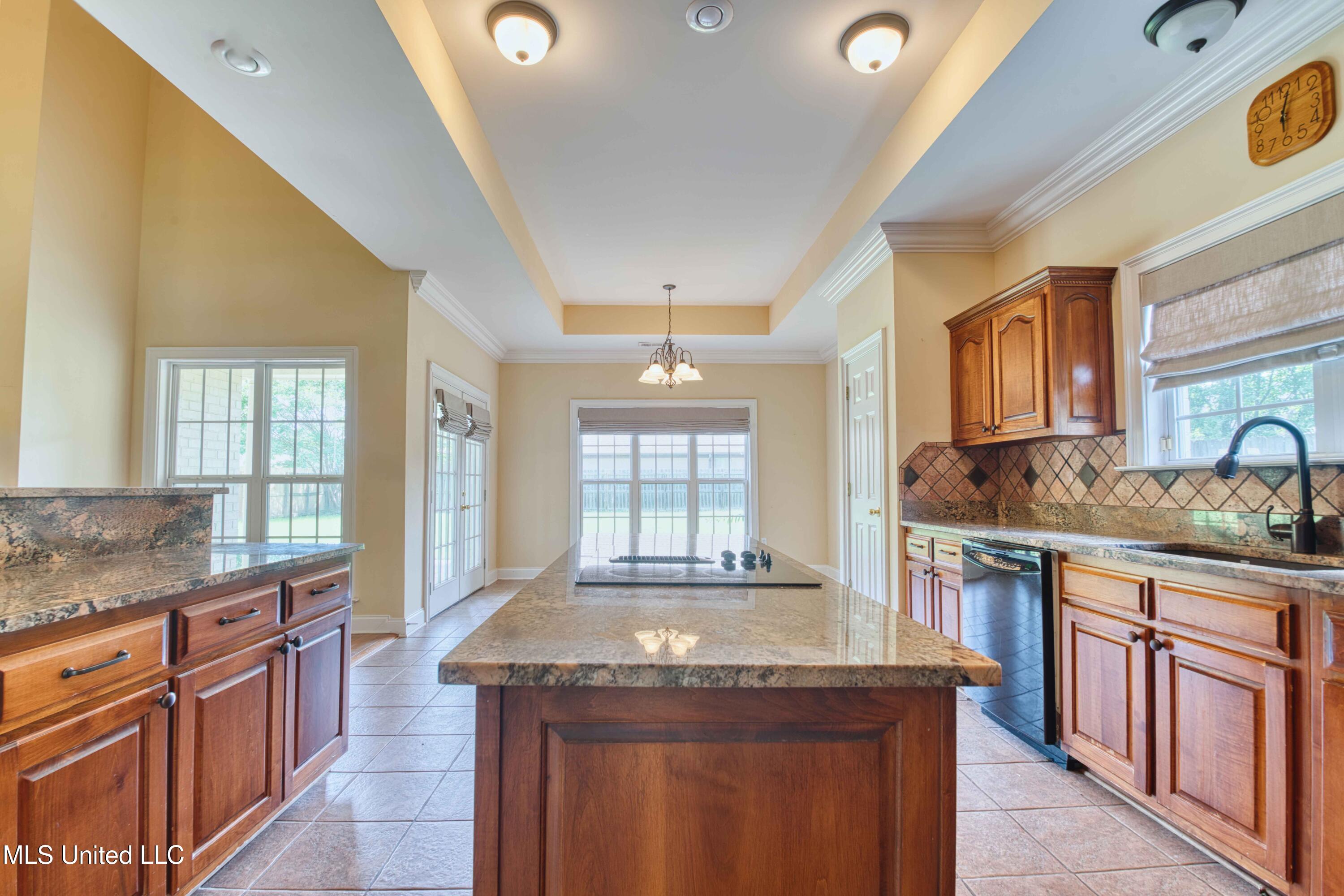 860 Cedar Grove Parkway Hernando, MS 38632 - Photo 12 of 62 Kitchen