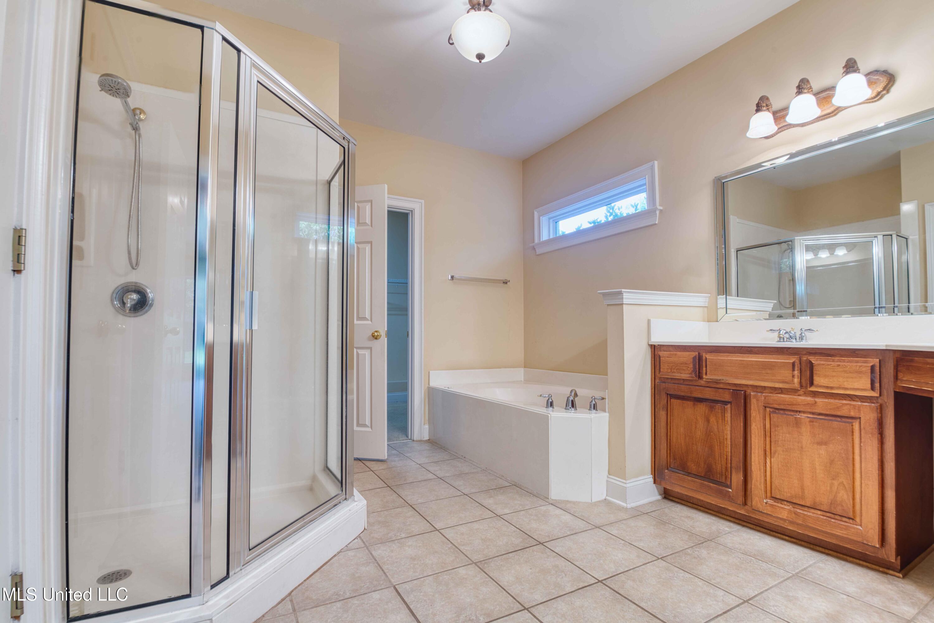 860 Cedar Grove Parkway Hernando, MS 38632 - Photo 27 of 62 Primary Bathroom