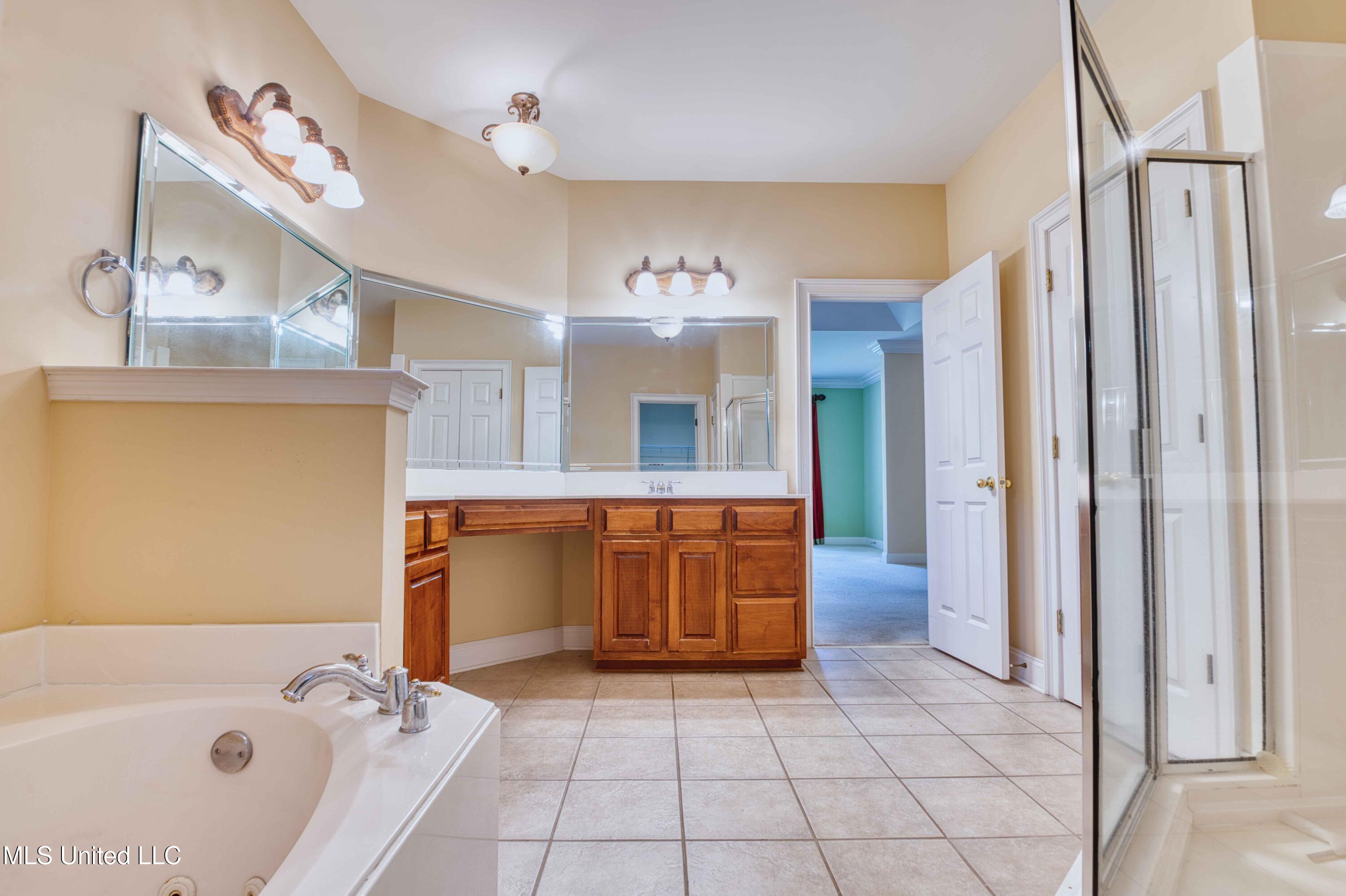 860 Cedar Grove Parkway Hernando, MS 38632 - Photo 28 of 62 Primary Bathroom