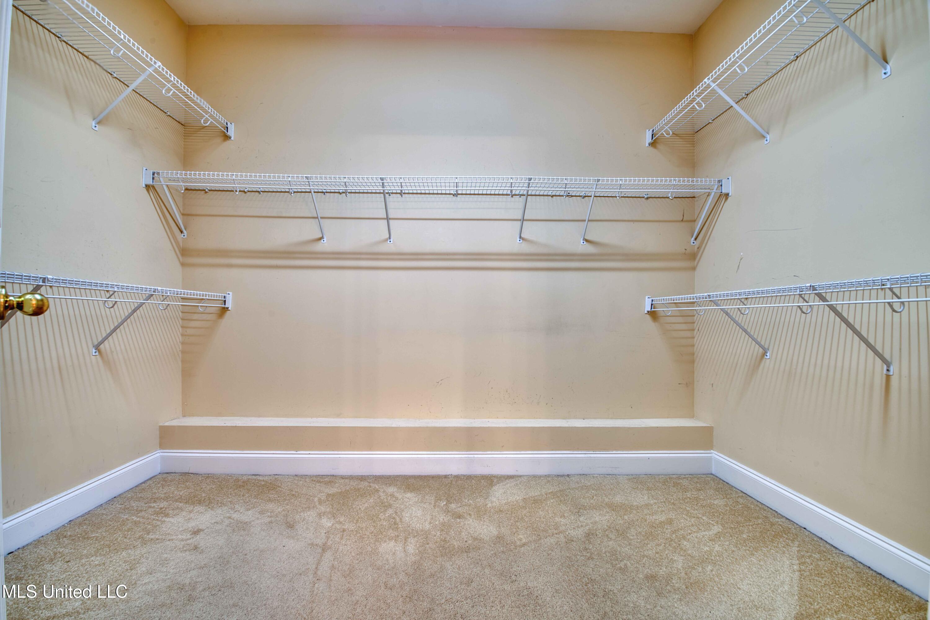 860 Cedar Grove Parkway Hernando, MS 38632 - Photo 29 of 62 Spacious Walk-In Closet