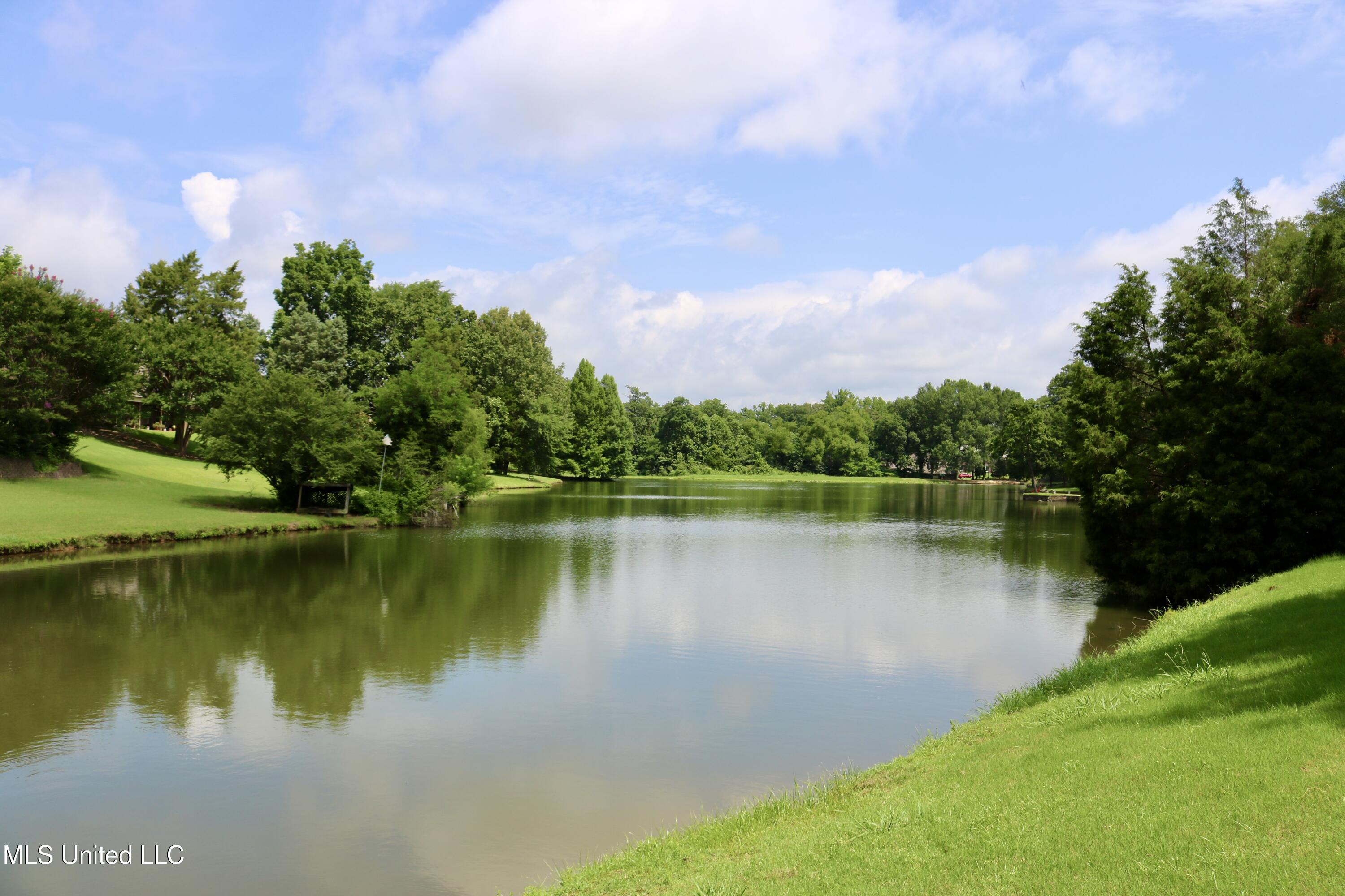 860 Cedar Grove Parkway Hernando, MS 38632 - Photo 48 of 62 Lake