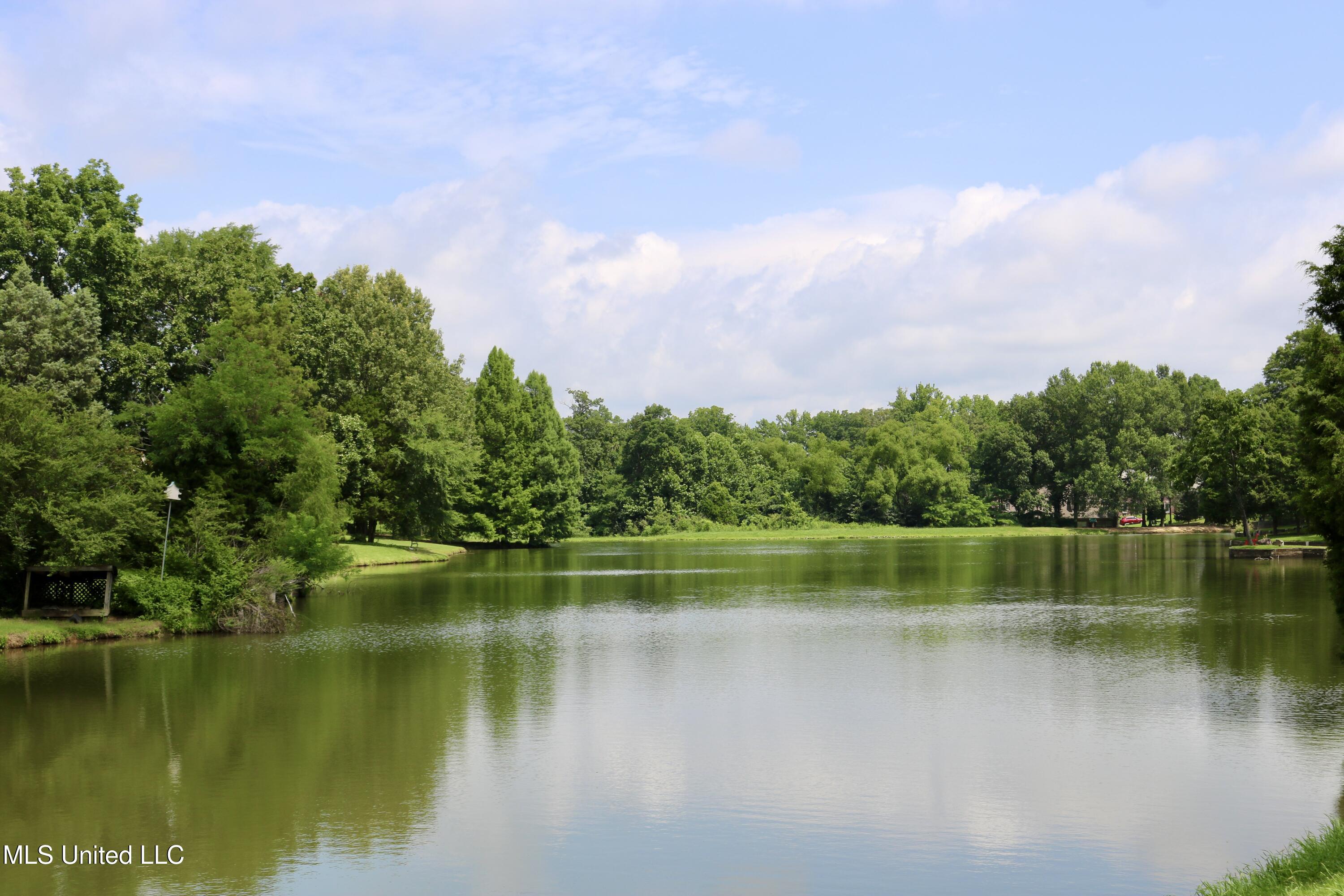 860 Cedar Grove Parkway Hernando, MS 38632 - Photo 49 of 62 Lake