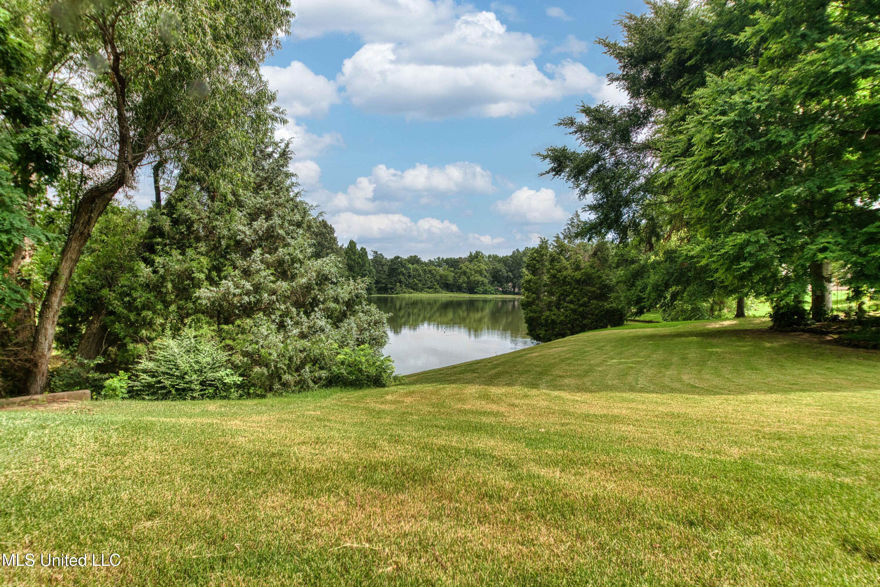 860 Cedar Grove Parkway Hernando, MS 38632 - Photo 50 of 62 Pond & Lake-2