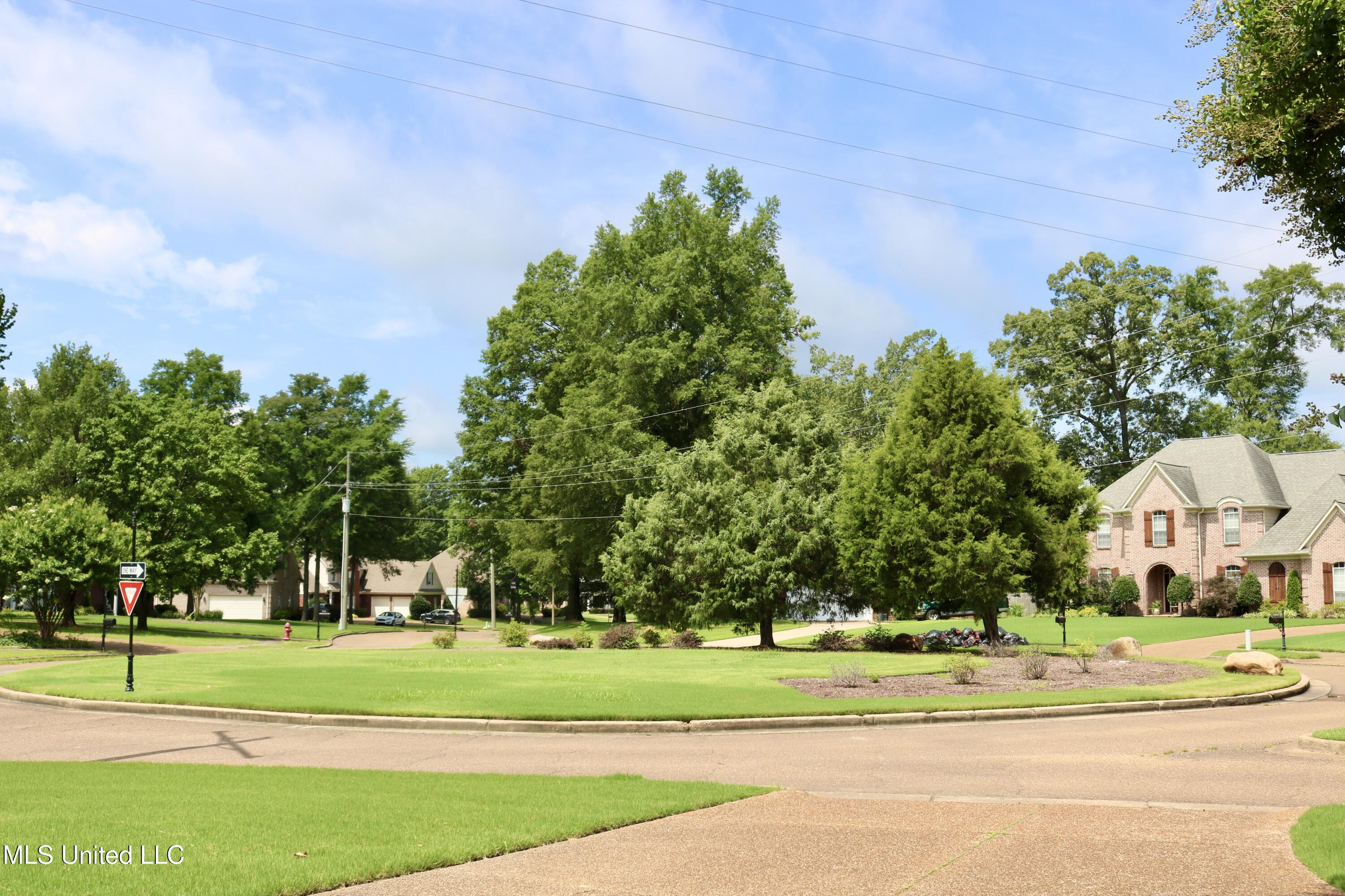 860 Cedar Grove Parkway Hernando, MS 38632 - Photo 54 of 62 Driveway view