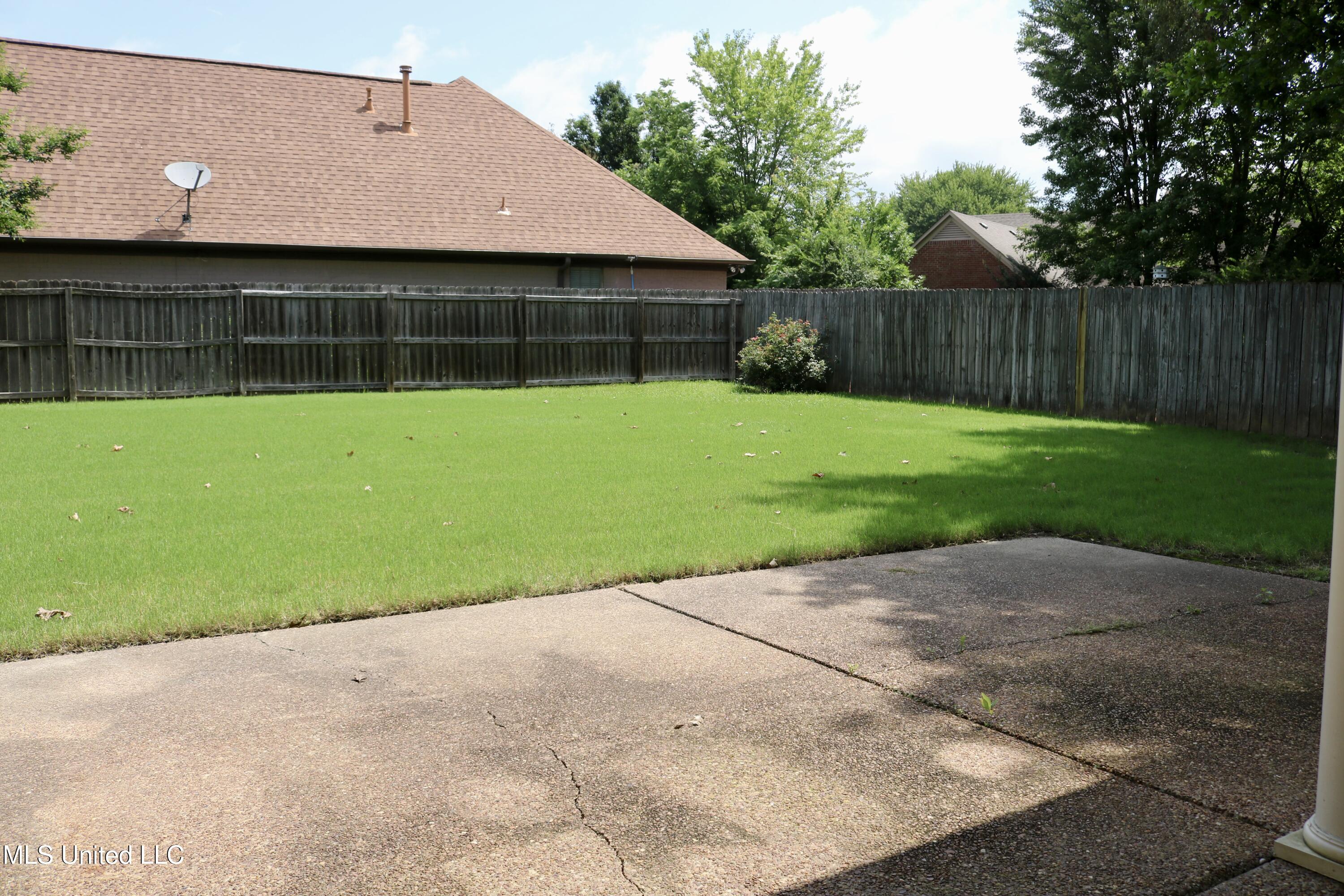 860 Cedar Grove Parkway Hernando, MS 38632 - Photo 58 of 62 Backyard