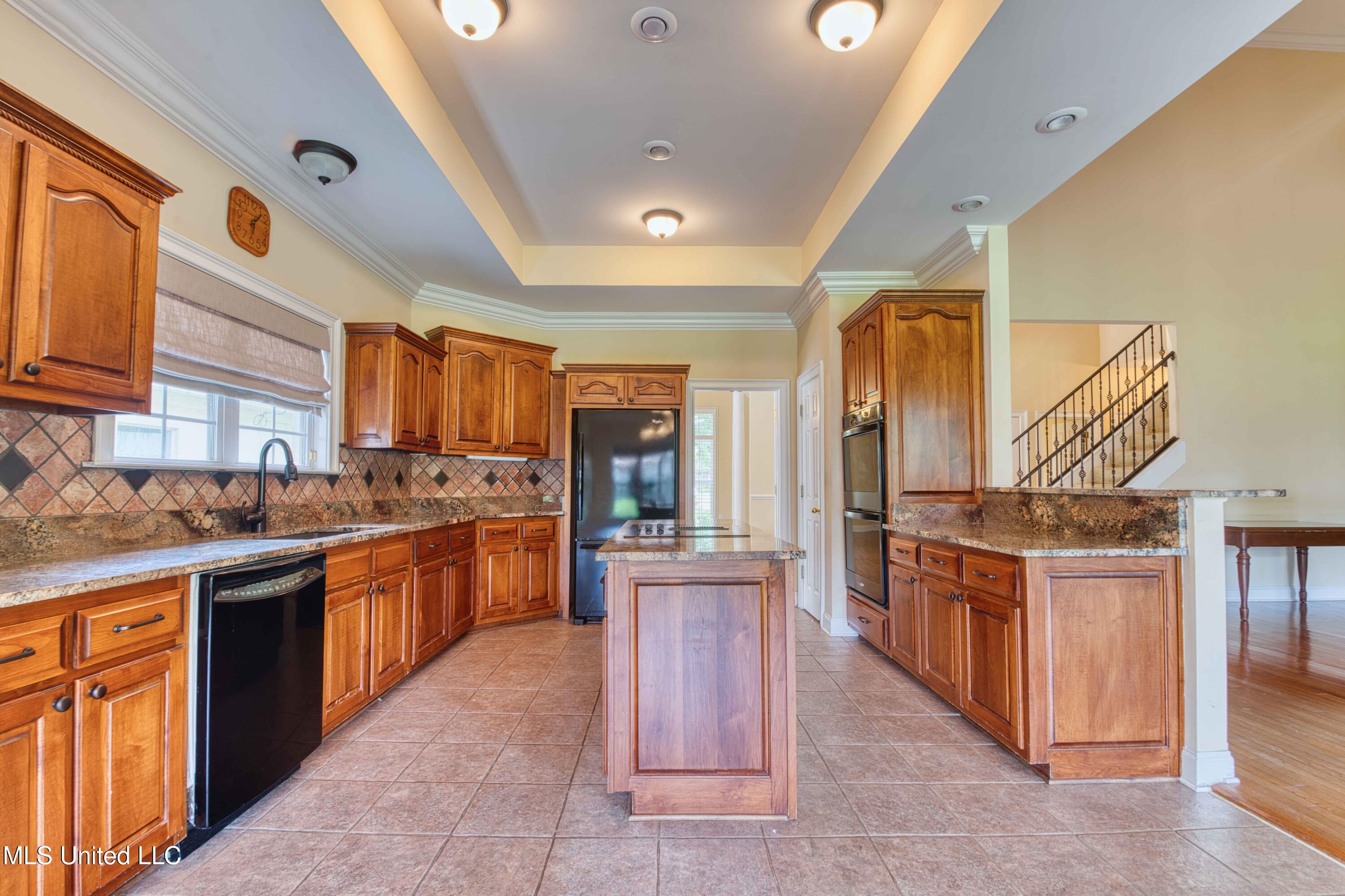 860 Cedar Grove Parkway Hernando, MS 38632 - Photo 9 of 62 Kitchen