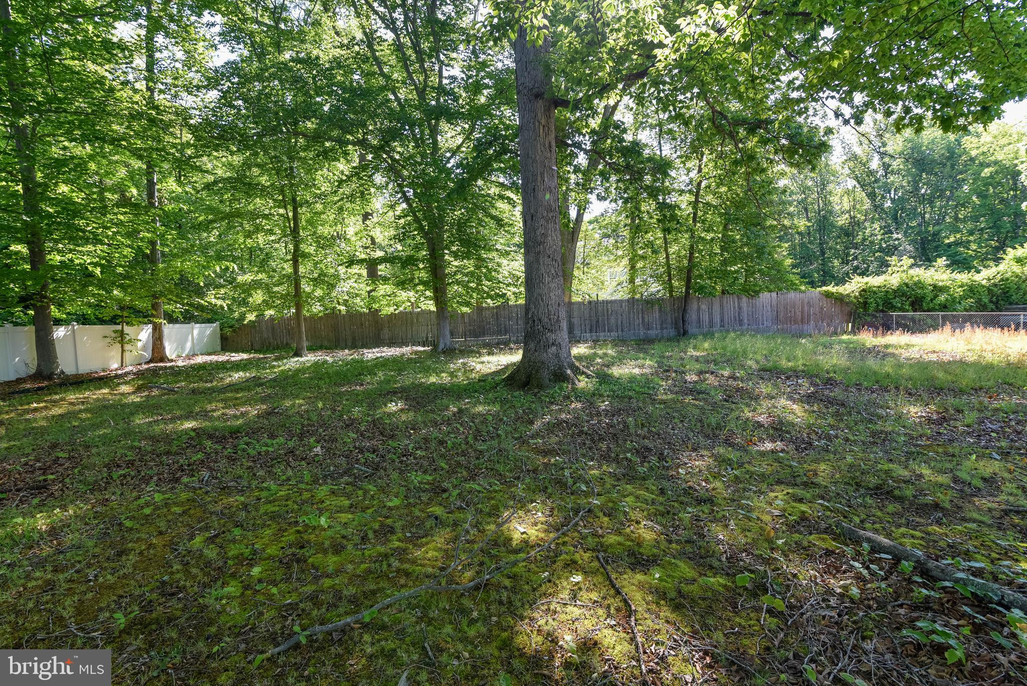 14306 Duckett Road Brandywine, MD 20613 - Photo 22 of 28