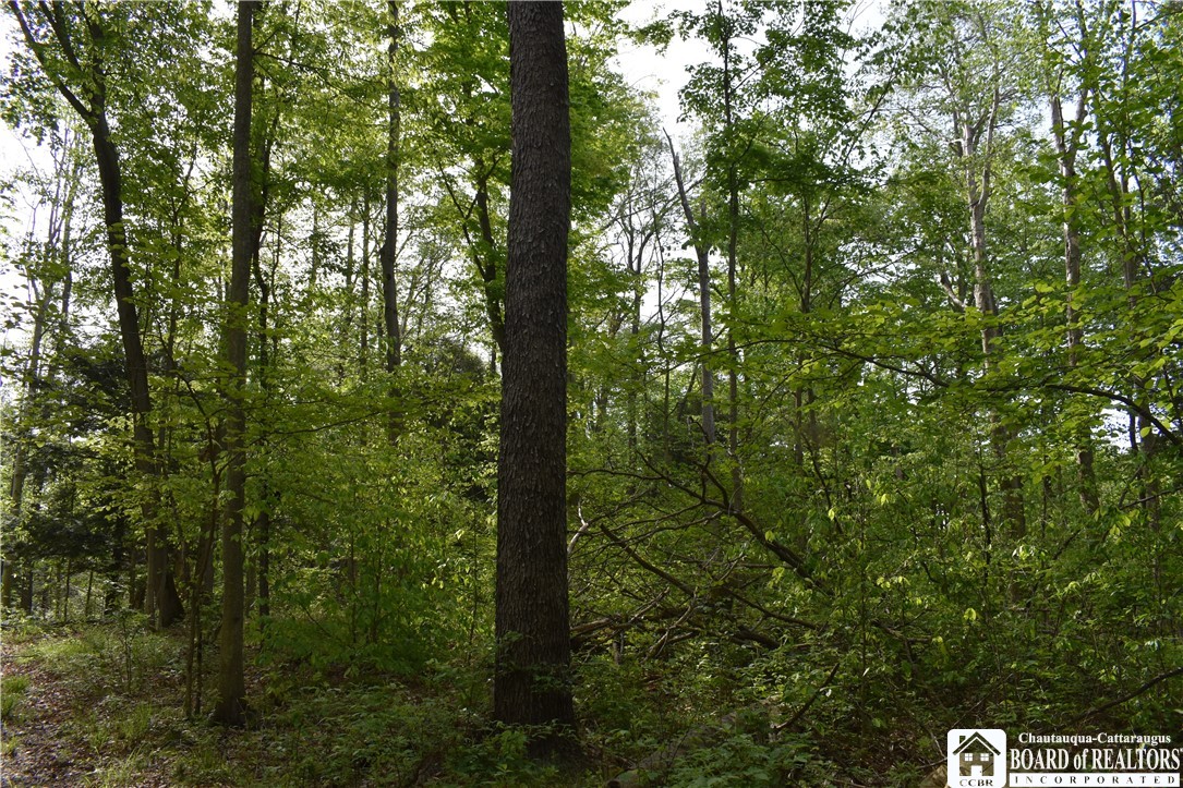 10133 Edward Corners Road Perrysburg, NY 14129 - Photo 12 of 28