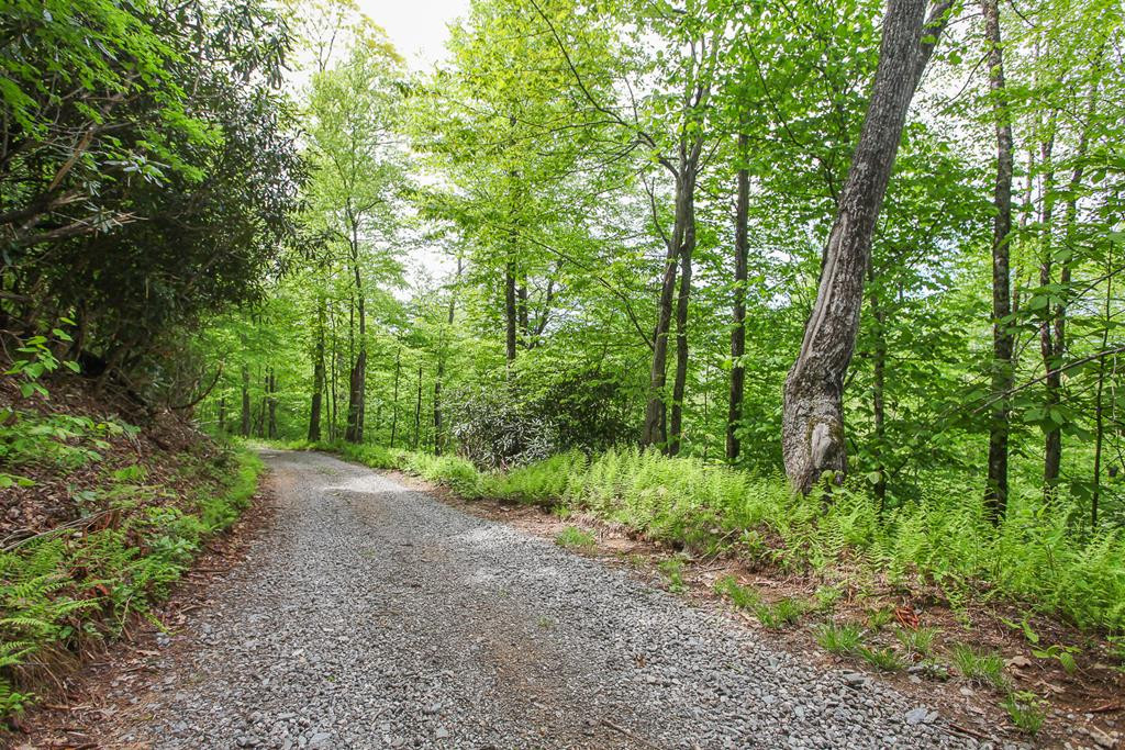 795 Porter Field Gap Road Robbinsville, NC 28771 - Photo 102 of 105