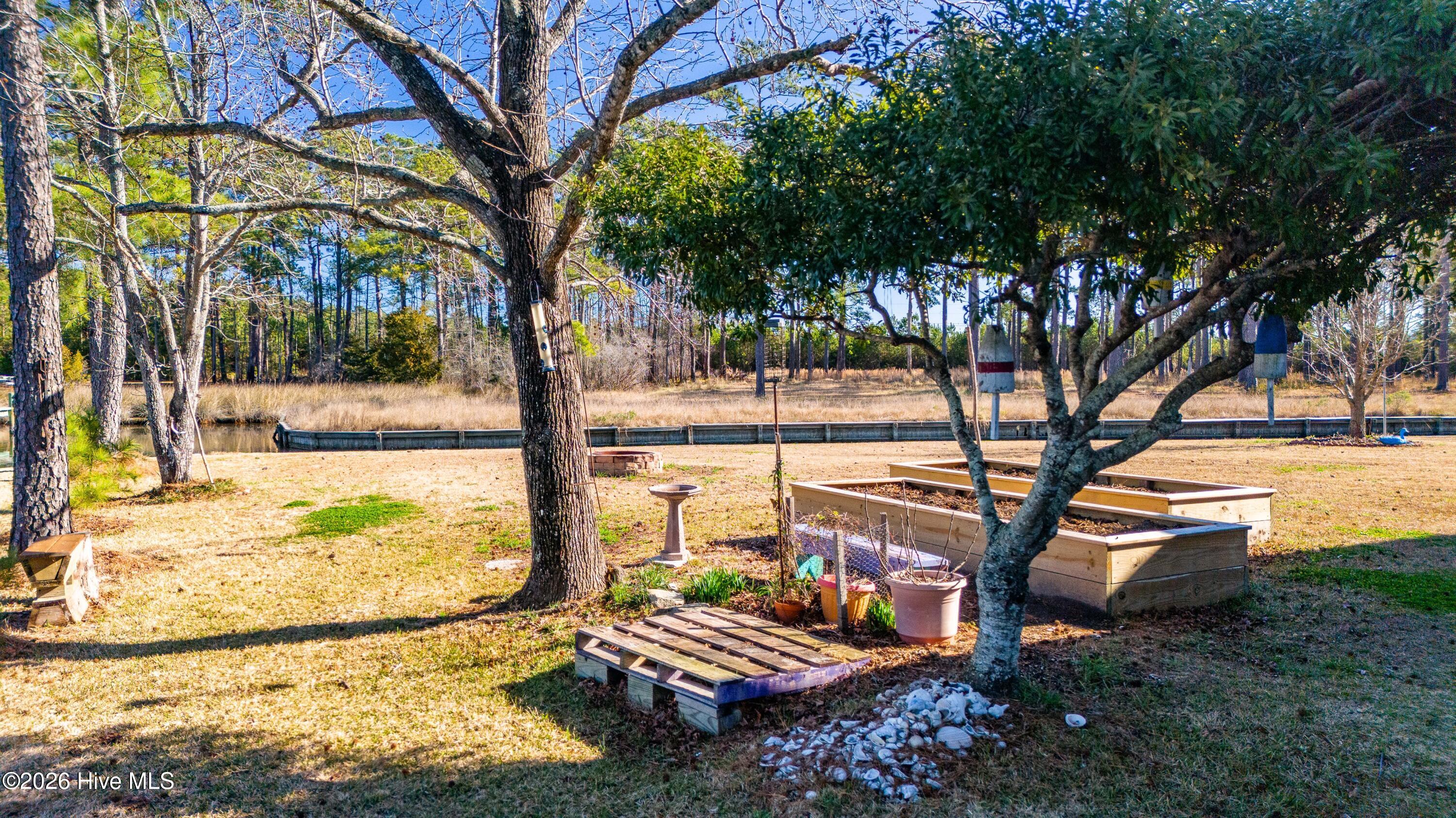 39 Croaker Road Merritt, NC 28556 - Photo 33 of 47 033_Backyard