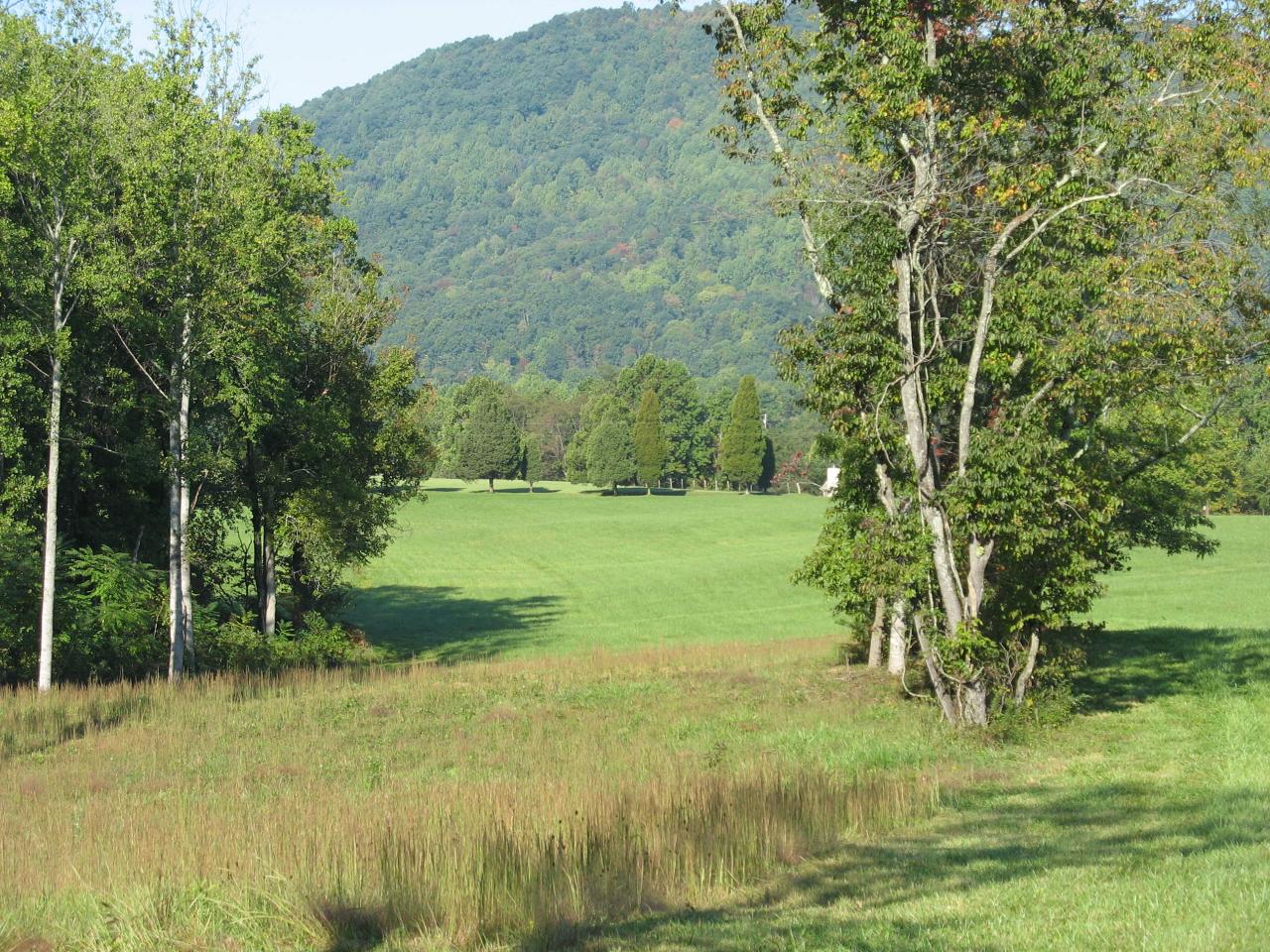 Lot 7 Quarles Road Thaxton, VA 24174 - Photo 1 of 1 LOT 8