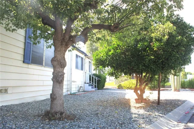 a view of a yard with plants and trees