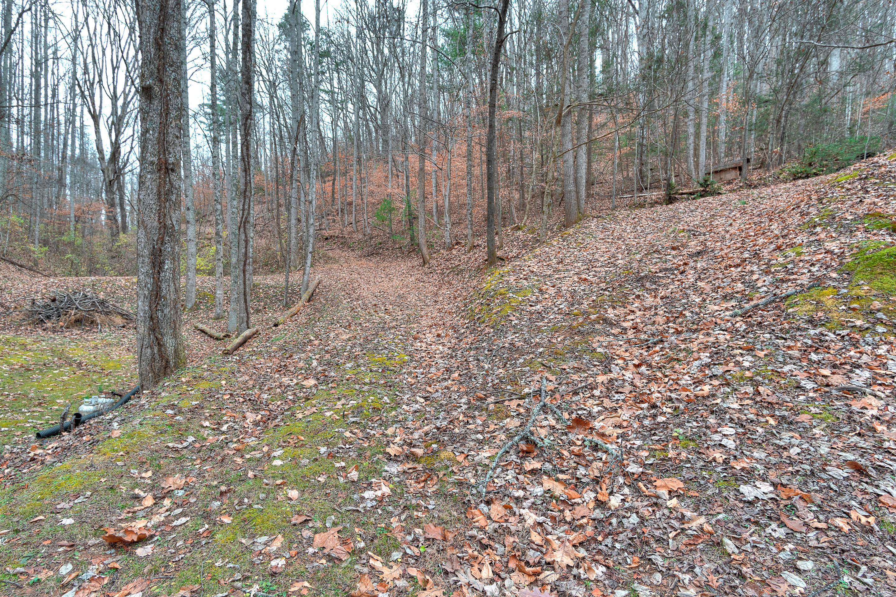 2845 Siam Road Elizabethton, TN 37643 - Photo 14 of 48 exterior_mls-23