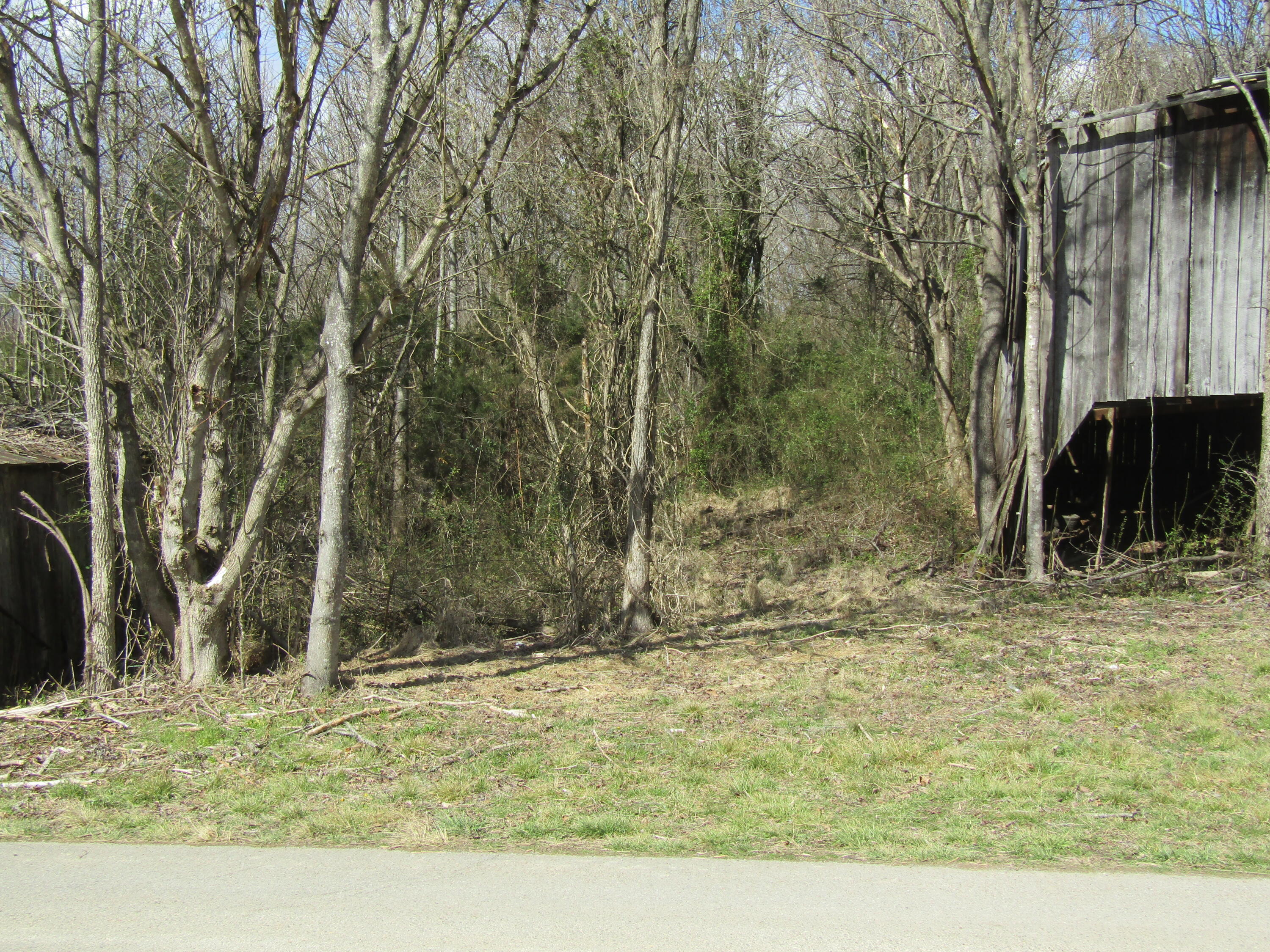 Lot #3 Davis Valley Road, Unit 3 Afton, TN 37616 - Photo 3 of 4 david valley lot 2 and 3