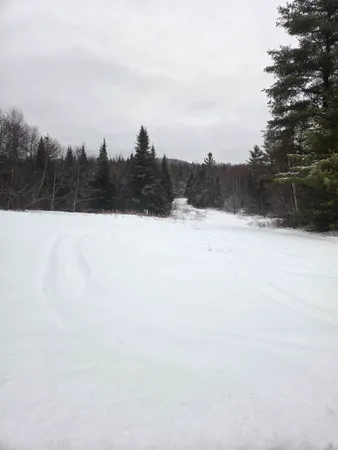 $79,900 | 0 Bell Hill Road, Stark, NH 03582