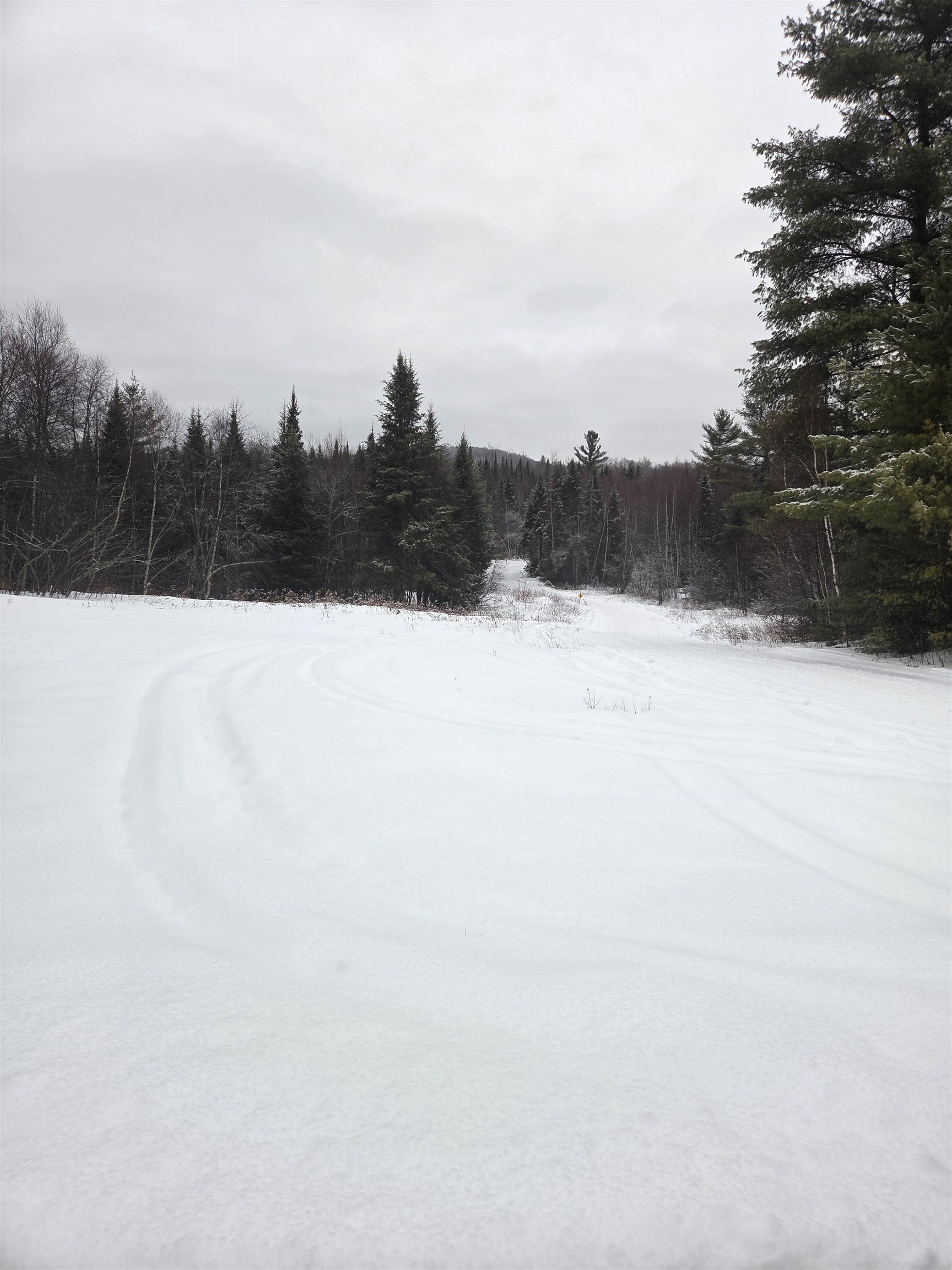 0 Bell Hill Road Stark, NH 03582 - Photo 5 of 9