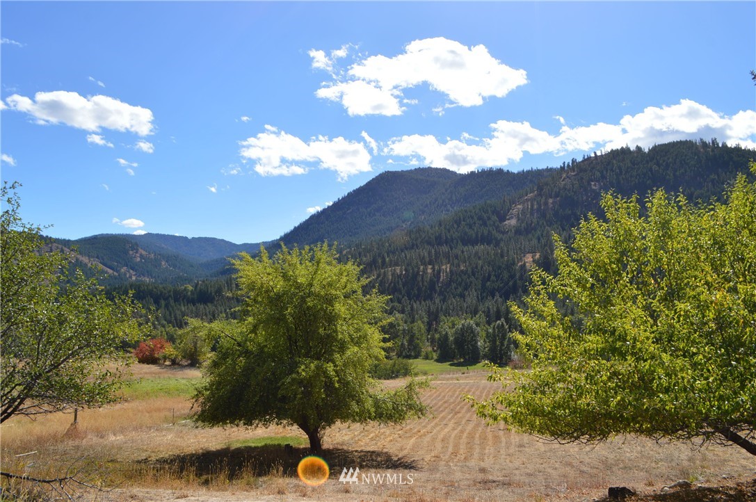 325 Twisp River Road Twisp, WA 98856 - Photo 3 of 21 Gallery Image 3