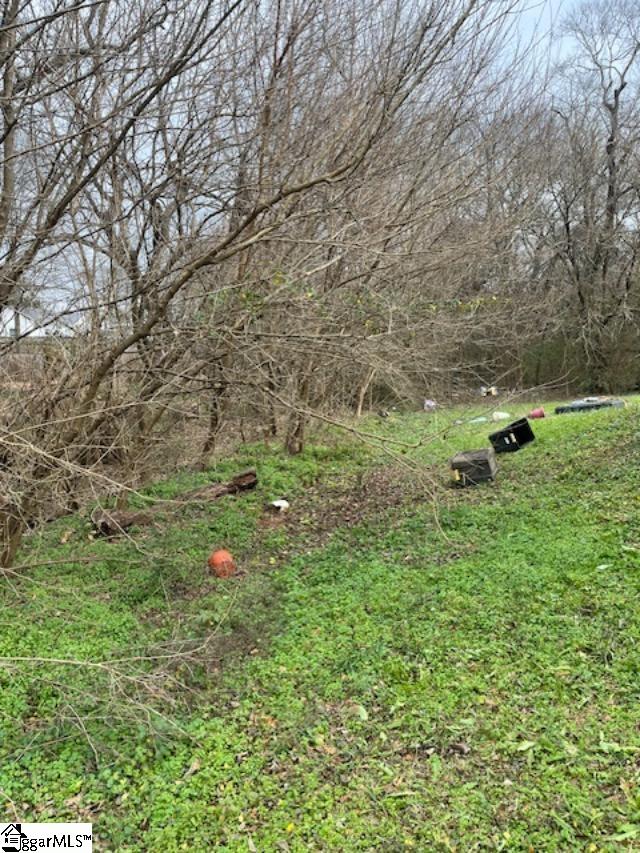 0 Welborn Street Pelzer, SC 29669 - Photo 3 of 9