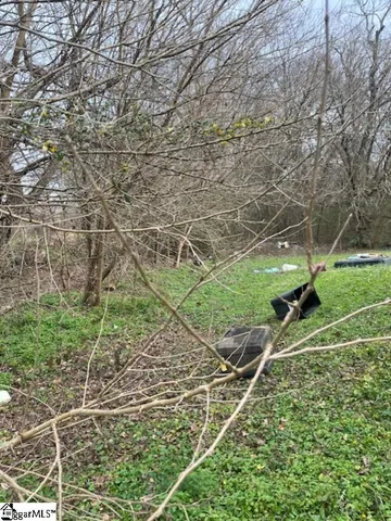 $25,000 | 0 Welborn Street, Pelzer, SC 29669