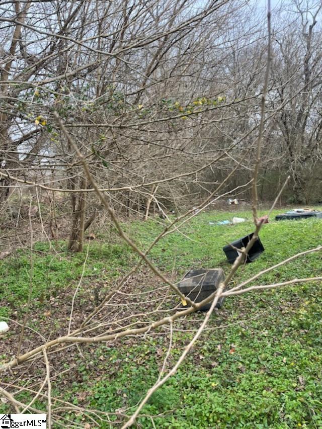 0 Welborn Street Pelzer, SC 29669 - Photo 4 of 9