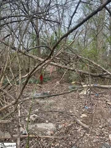 $25,000 | 0 Welborn Street, Pelzer, SC 29669