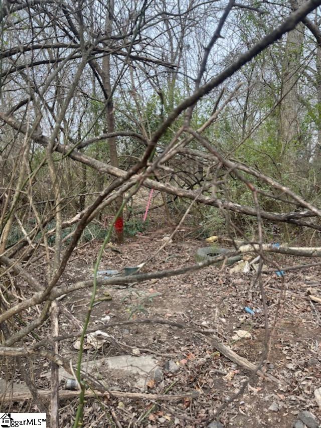 0 Welborn Street Pelzer, SC 29669 - Photo 5 of 9