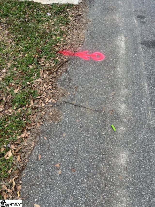 0 Welborn Street Pelzer, SC 29669 - Photo 7 of 9