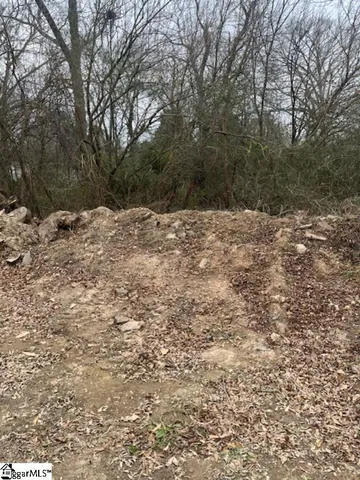 $25,000 | 0 Welborn Street, Pelzer, SC 29669