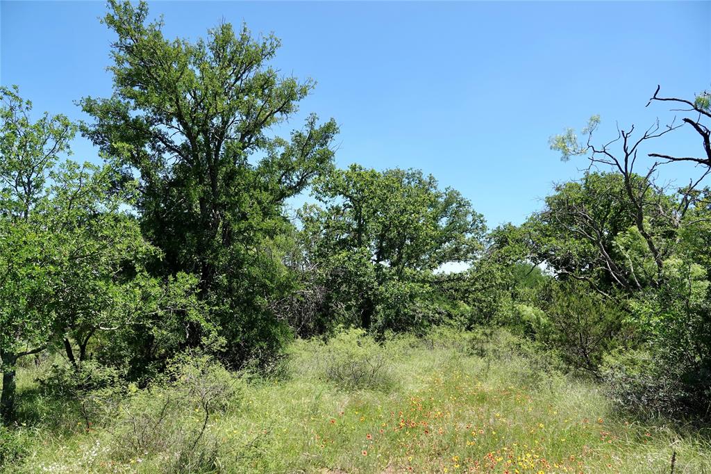 219 C R 550 Mullin, TX 76864 - Photo 36 of 37 a view of a lush green space