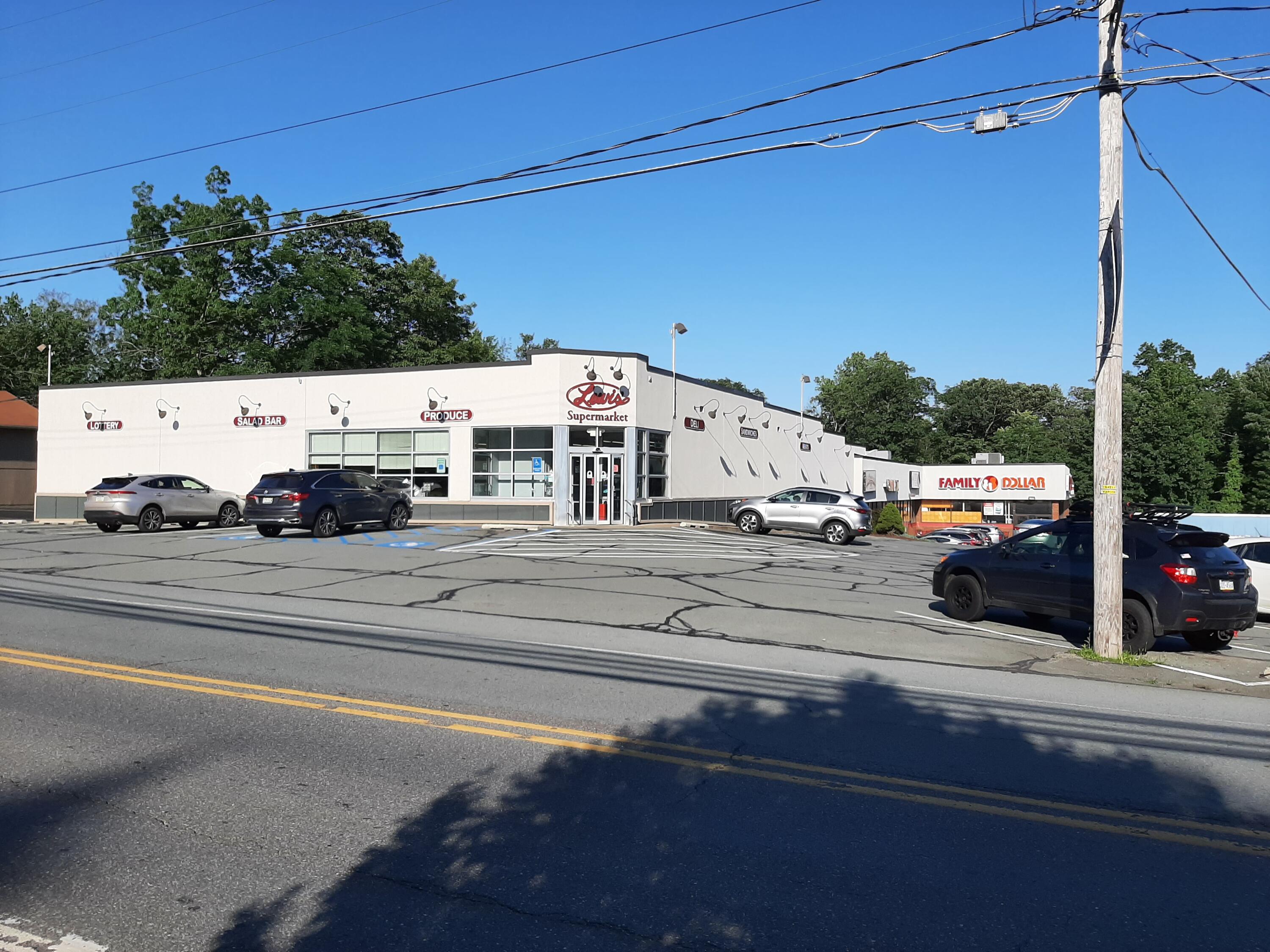 455 Laurel Pine Road Cresco, PA 18326 - Photo 43 of 52 20210710_175652