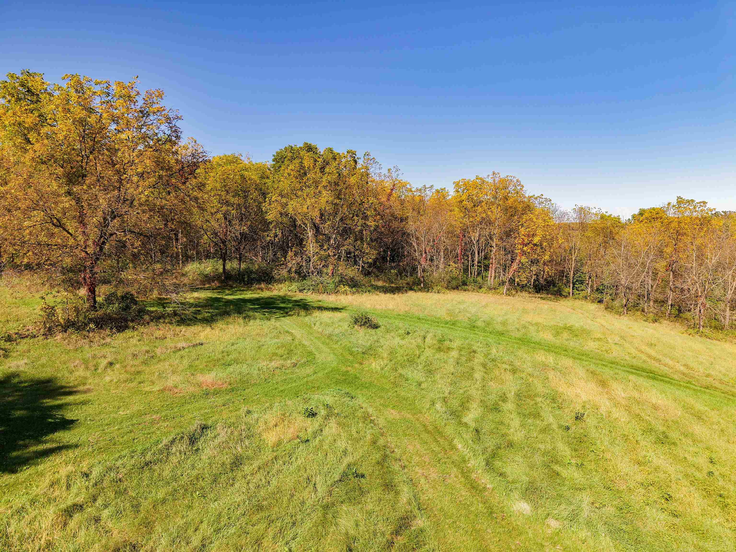 850 Cook-McFall Road Rewey, WI 53580 - Photo 40 of 45 Gallery Image 40