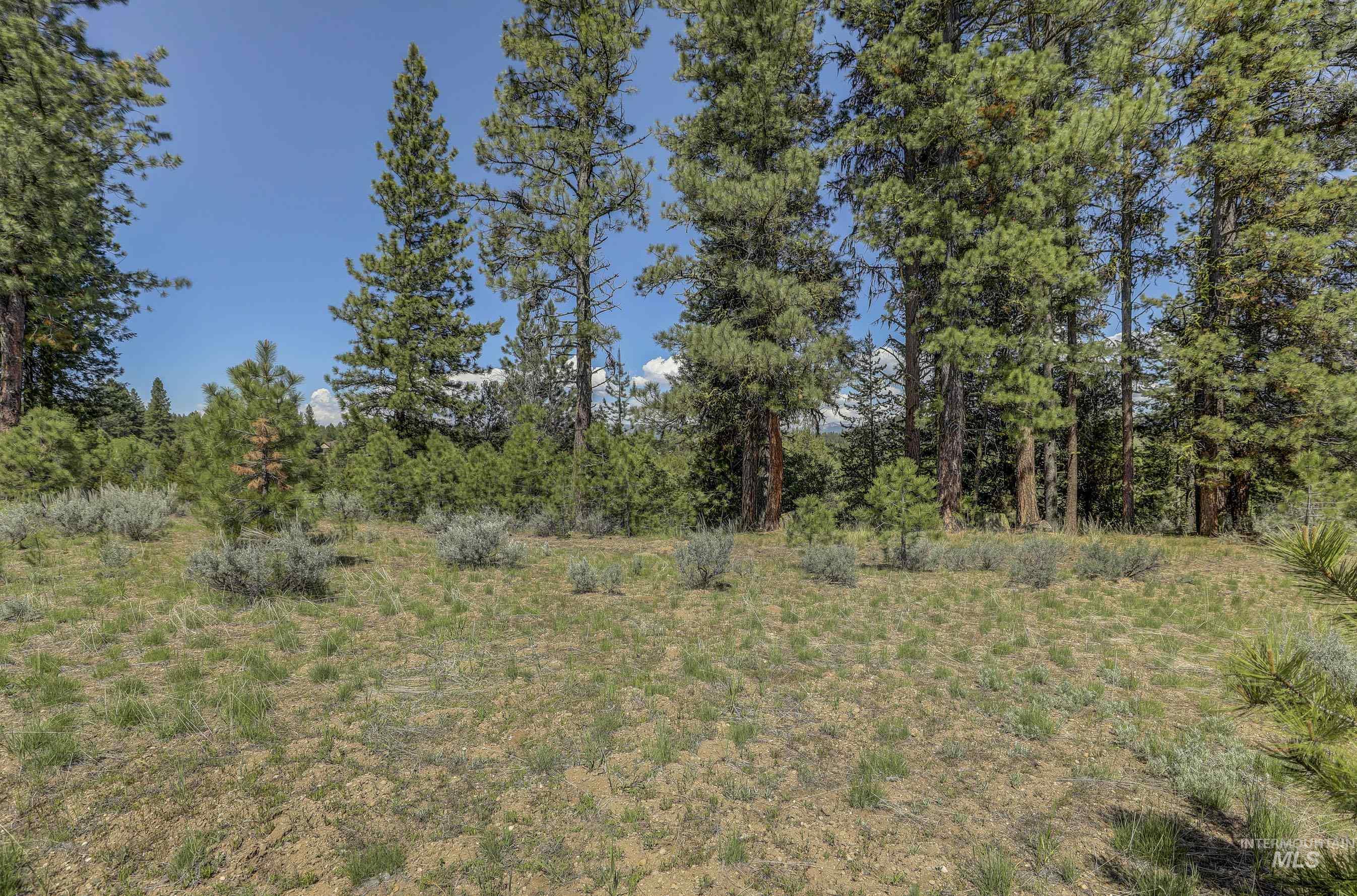 8 Targhee Court McCall, ID 83638 - Photo 11 of 34