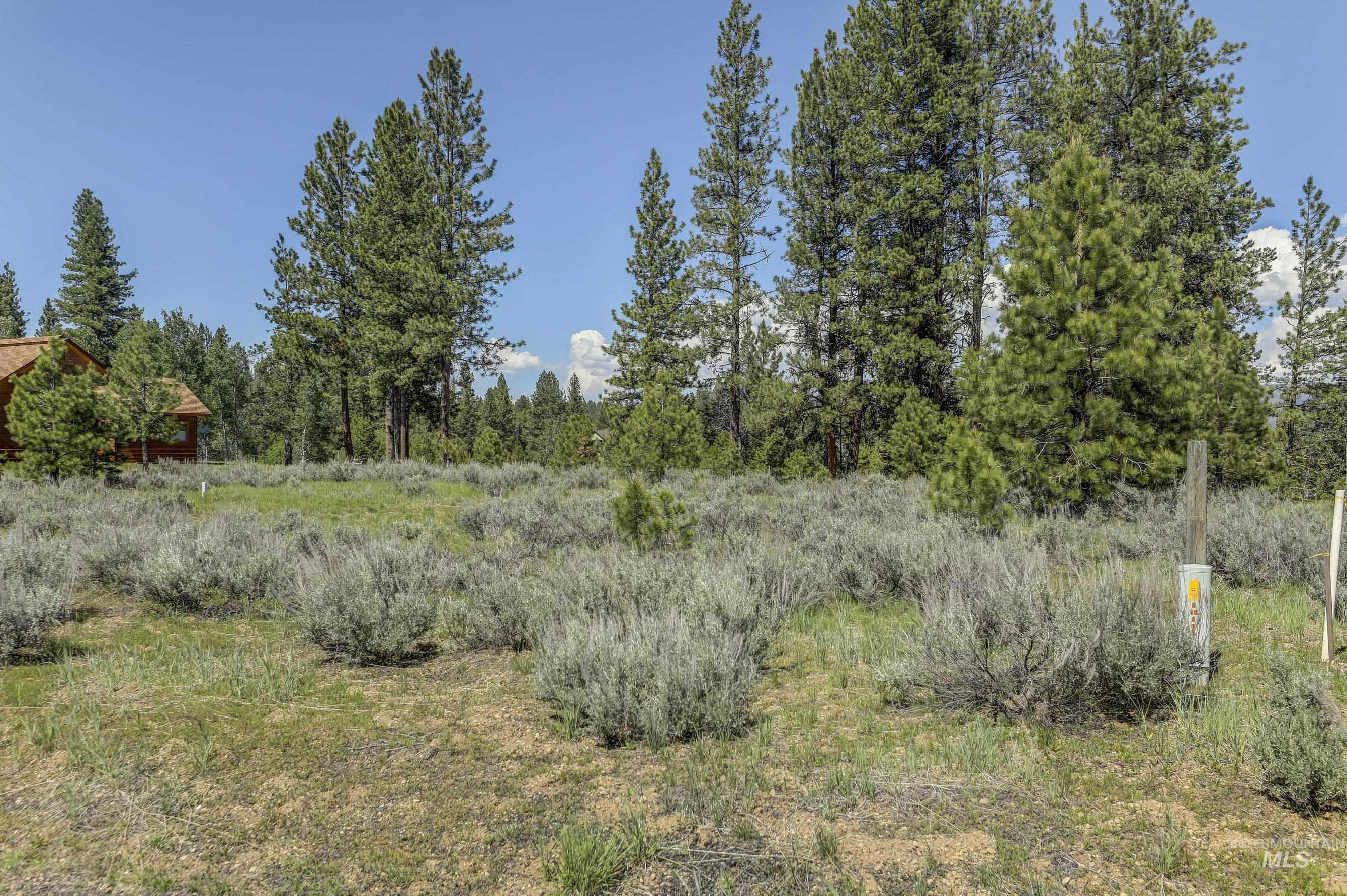 8 Targhee Court McCall, ID 83638 - Photo 14 of 34