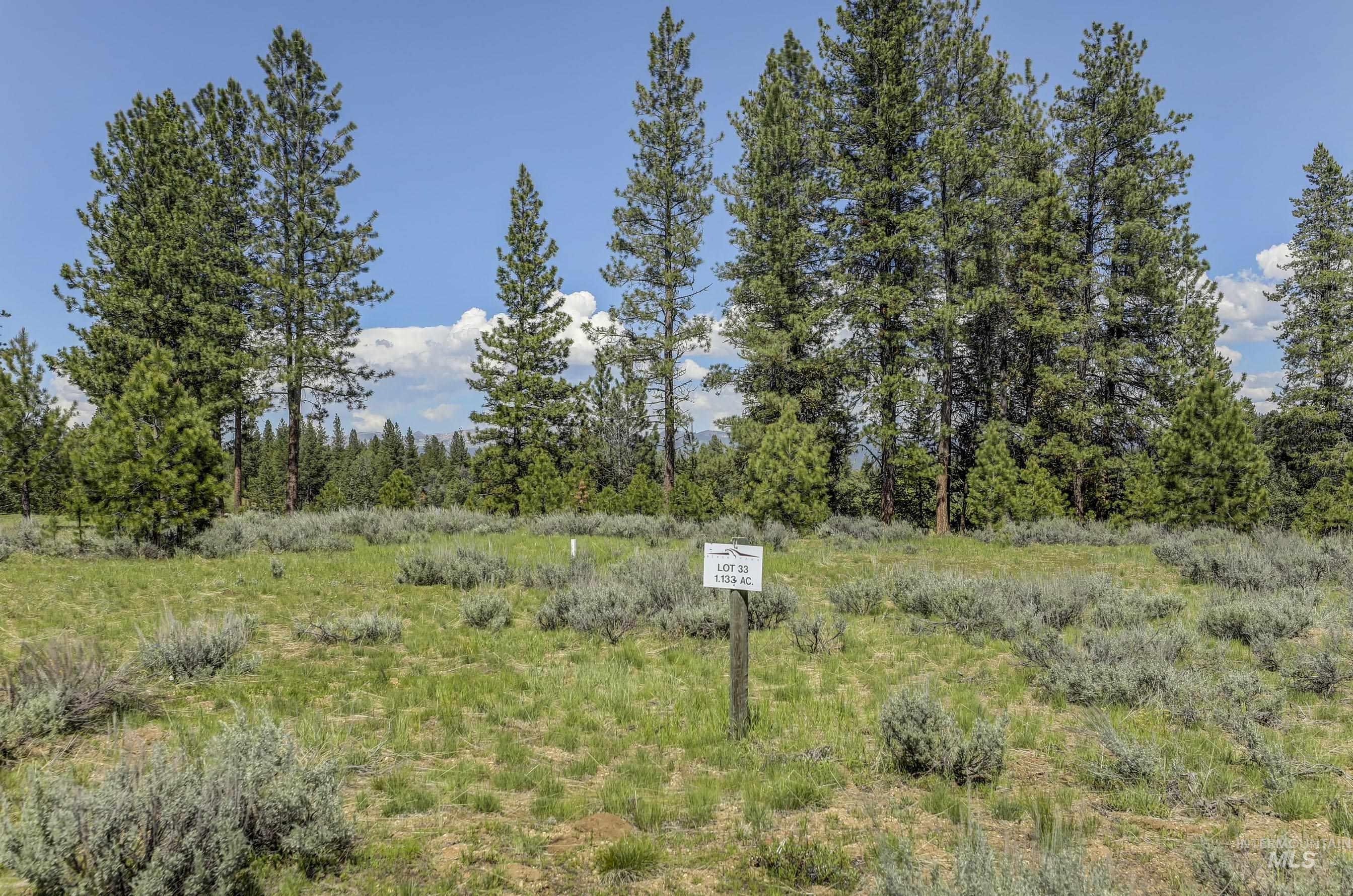 8 Targhee Court McCall, ID 83638 - Photo 15 of 34