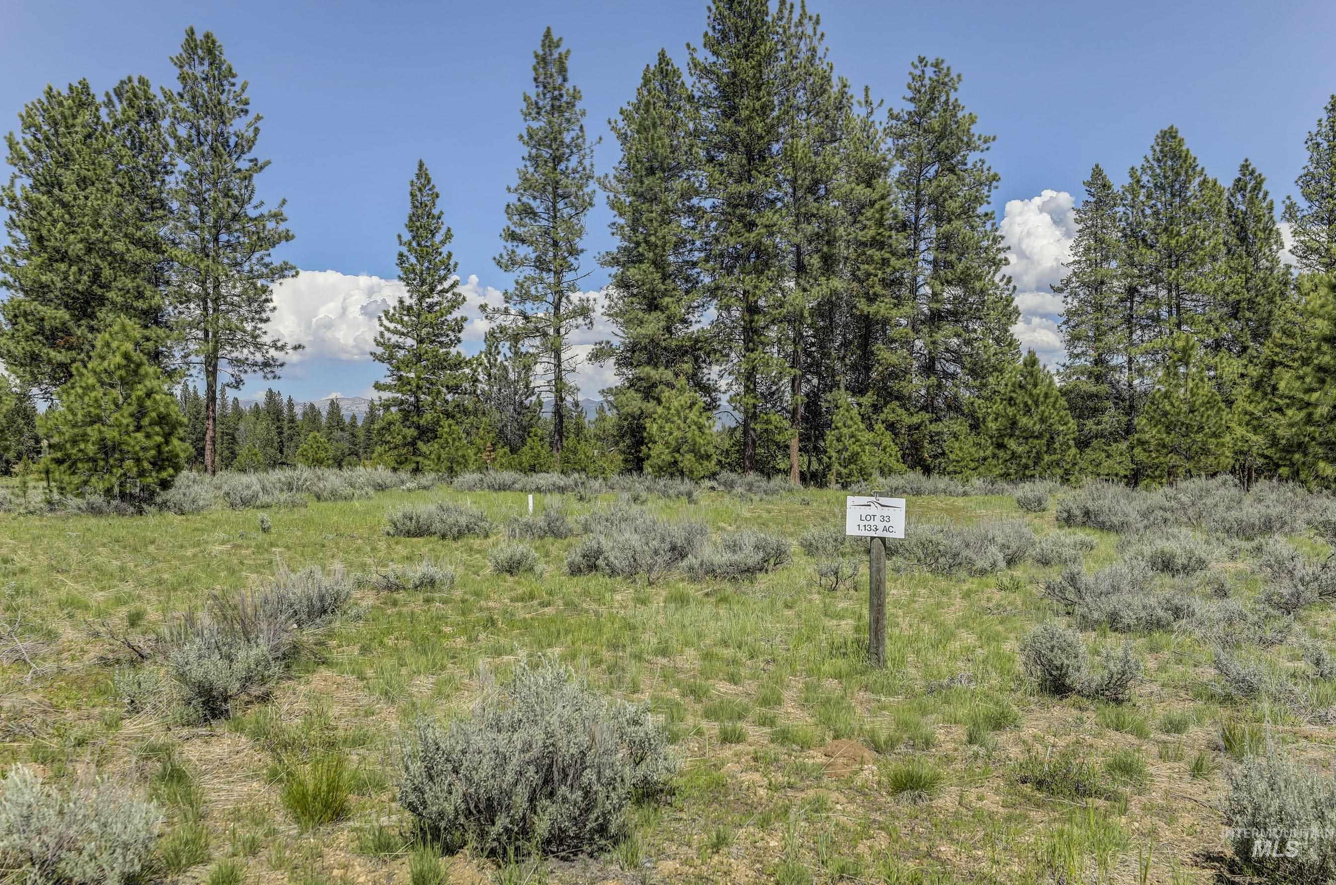 8 Targhee Court McCall, ID 83638 - Photo 2 of 34