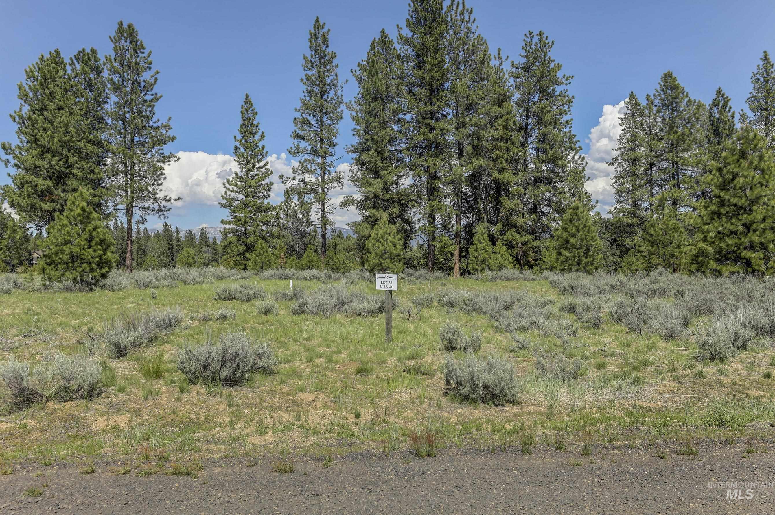 8 Targhee Court McCall, ID 83638 - Photo 3 of 34